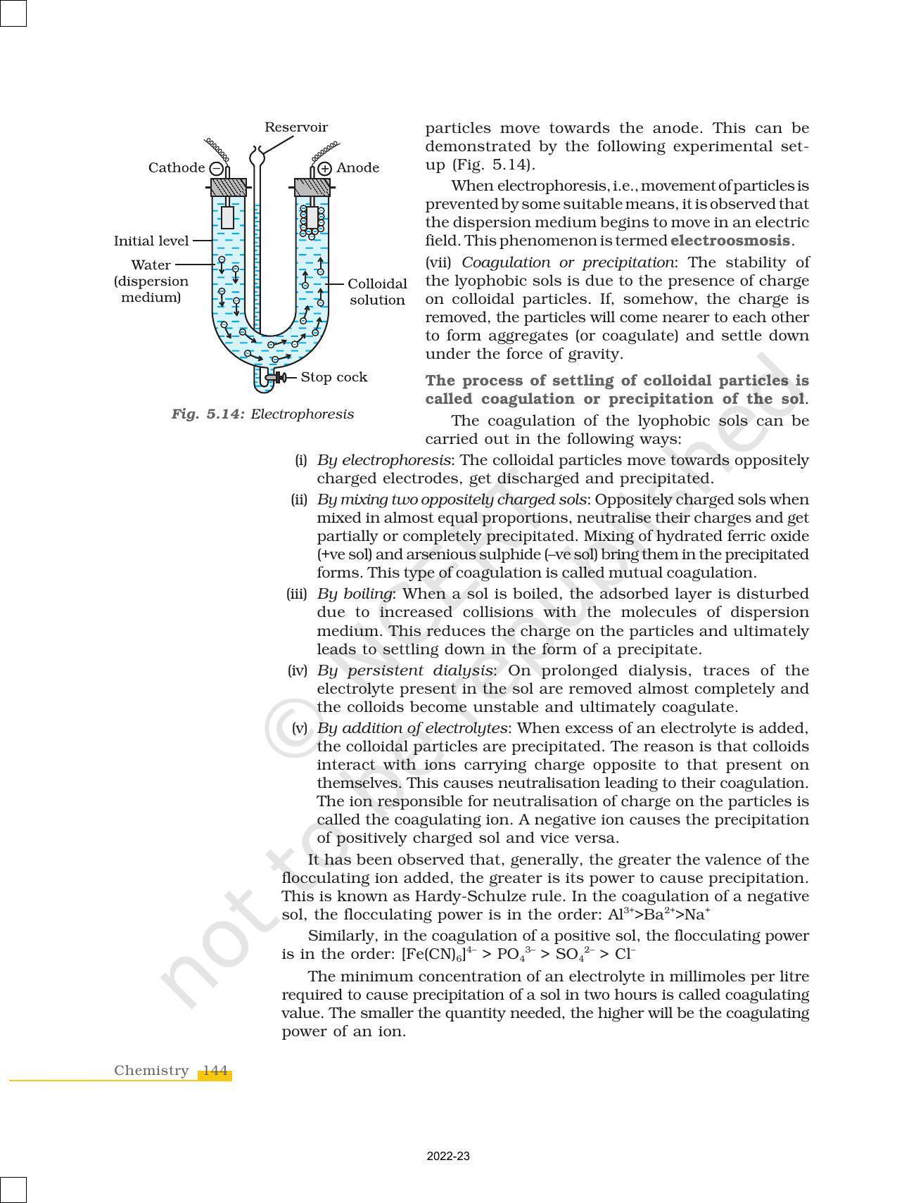 NCERT Book for Class 12 Chemistry Chapter 5 Surface chemistry - Page 22