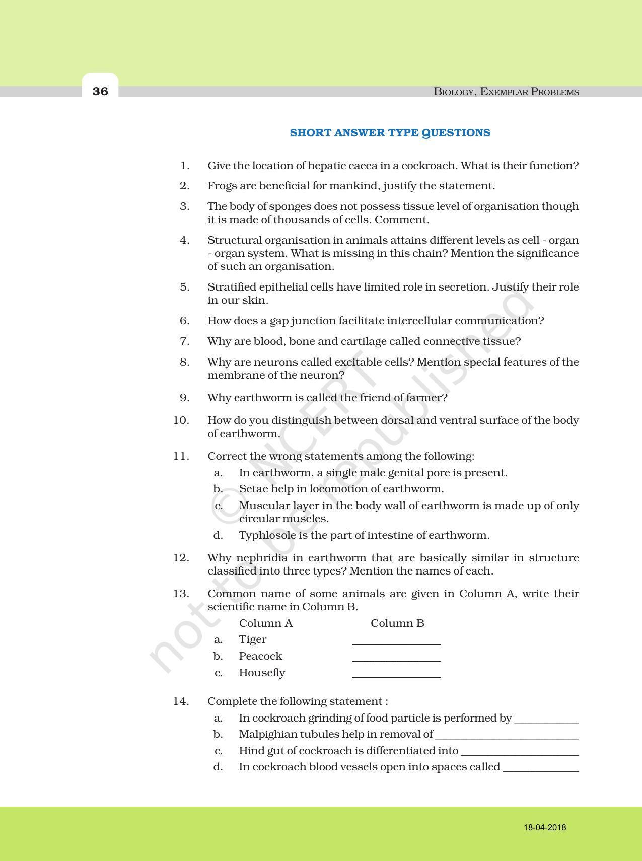 NCERT Exemplar Book for Class 11 Biology Chapter 7 Structural ...