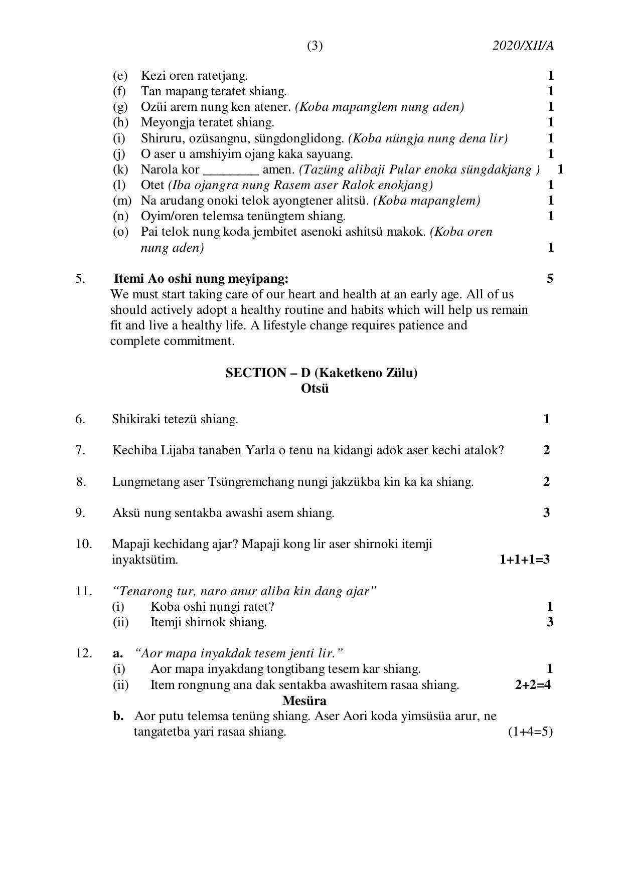 Nagaland Board Class 12 AO 2020 Question Paper - Page 3