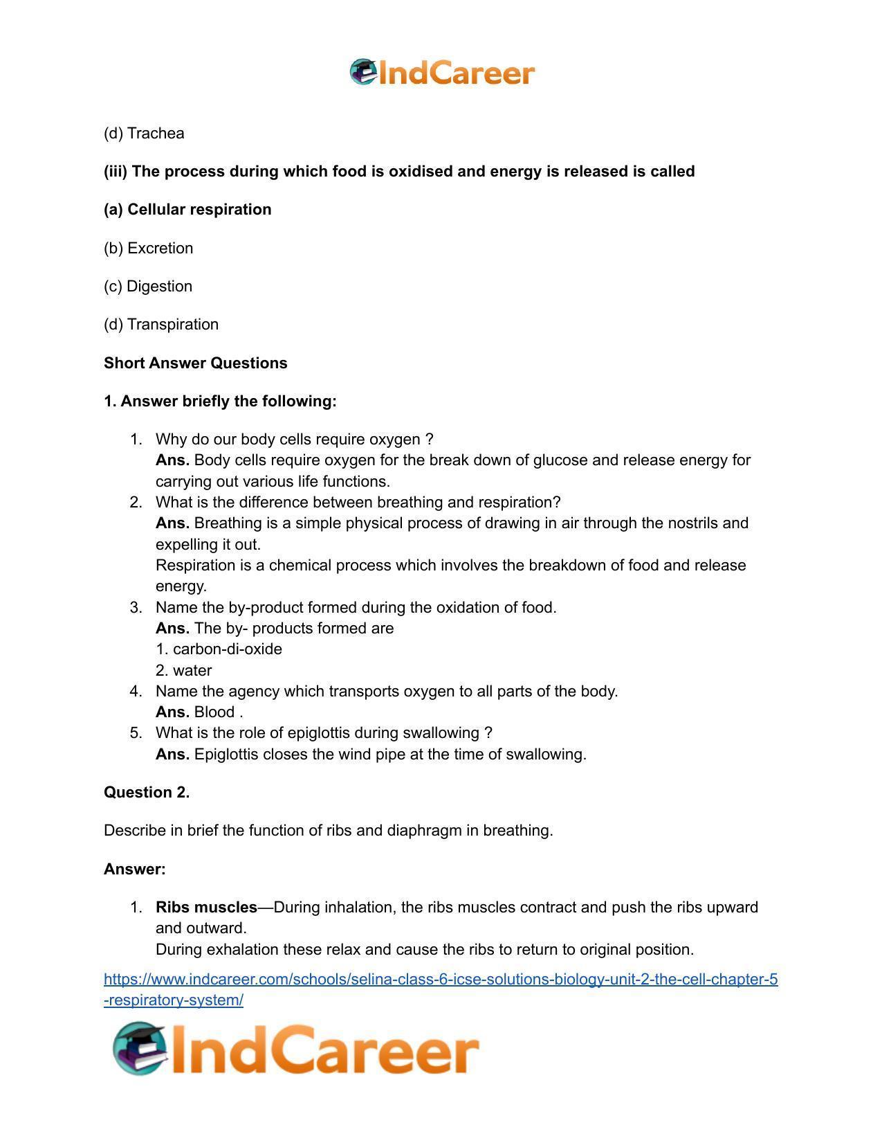 Selina Class 6 ICSE Solutions Biology (Unit 2) - The Cell: Chapter 5- Respiratory System - Page 3