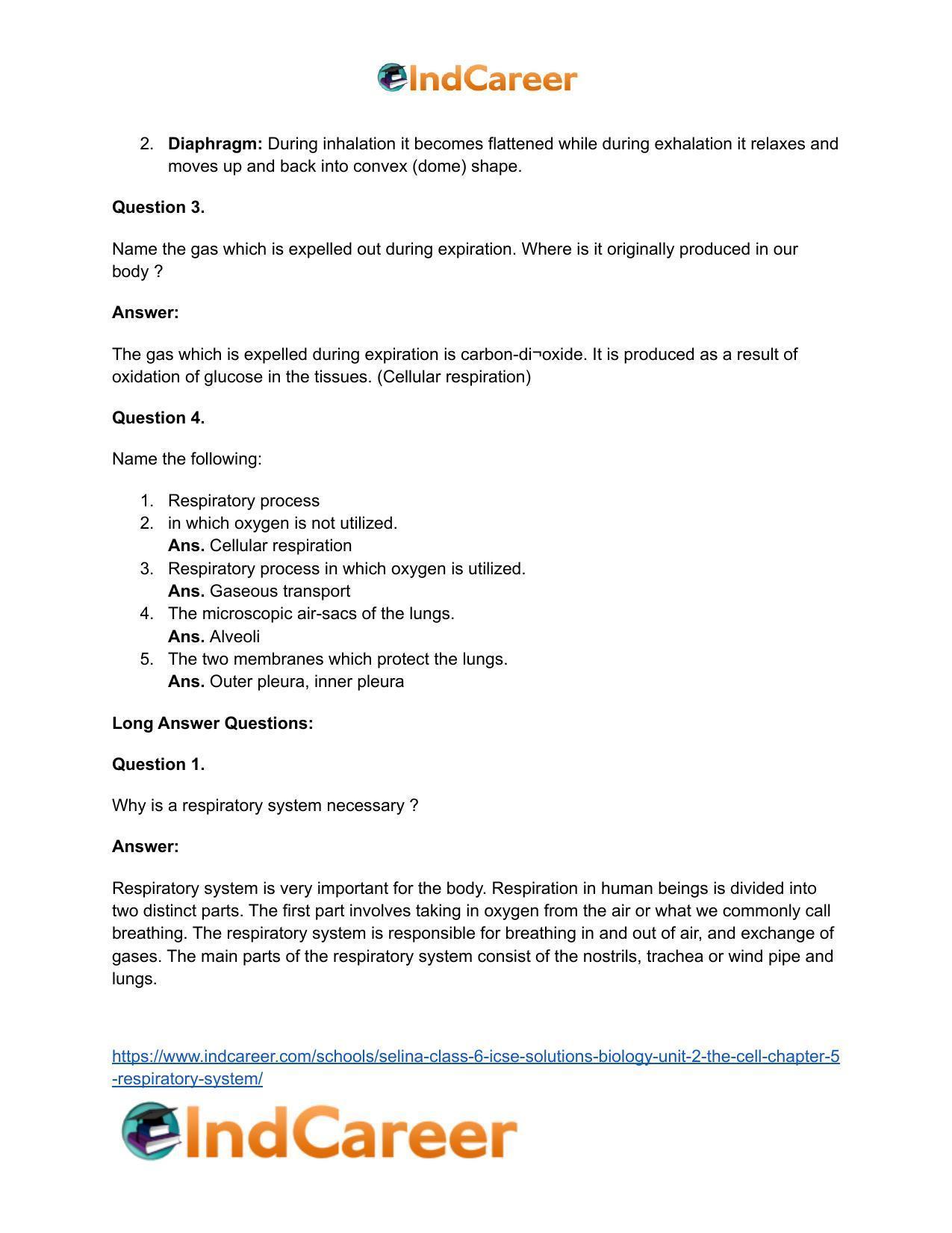 Selina Class 6 ICSE Solutions Biology (Unit 2) - The Cell: Chapter 5- Respiratory System - Page 4