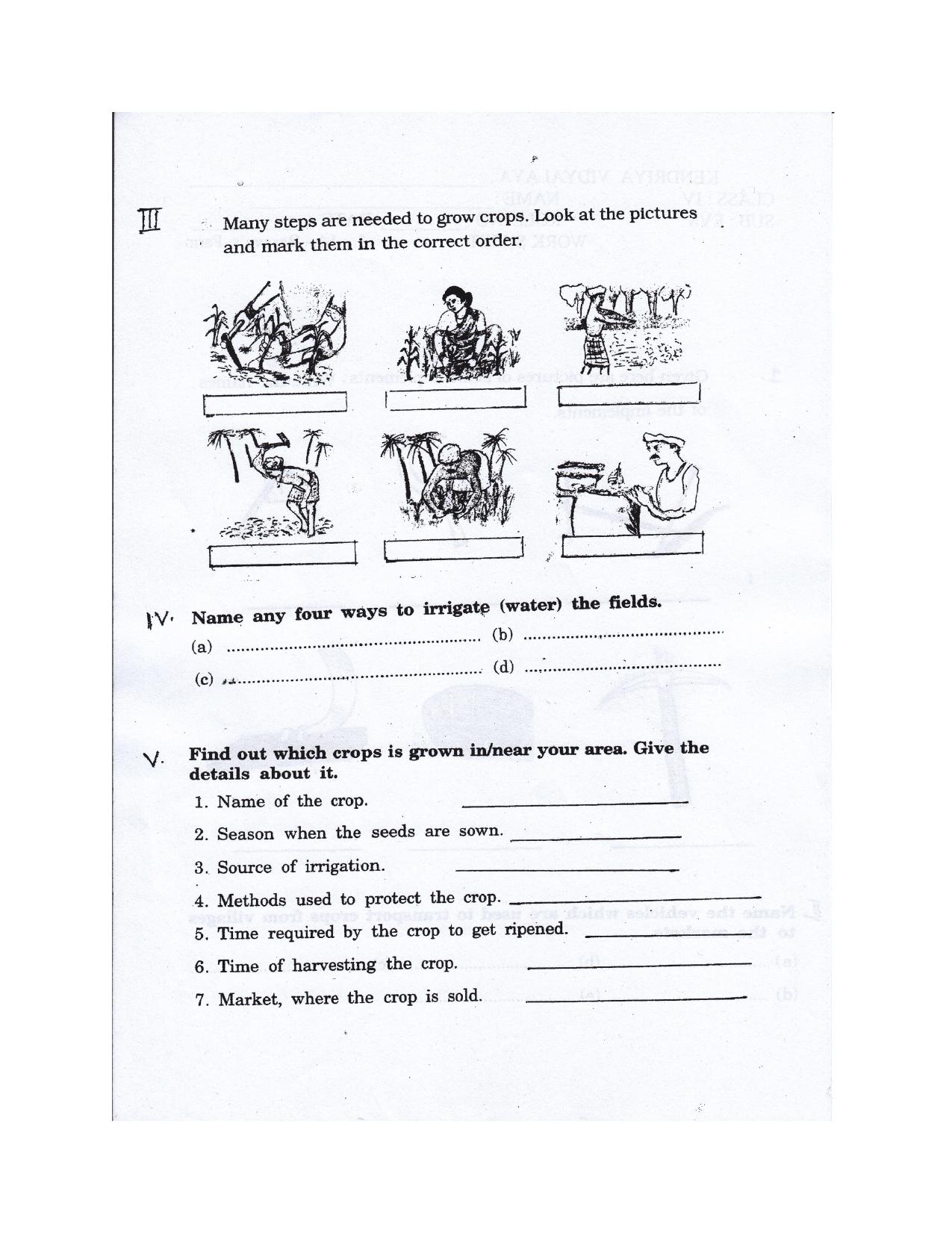 Worksheet for Class 4 Environmental Studies Basavas Farm Assignment - Page 2