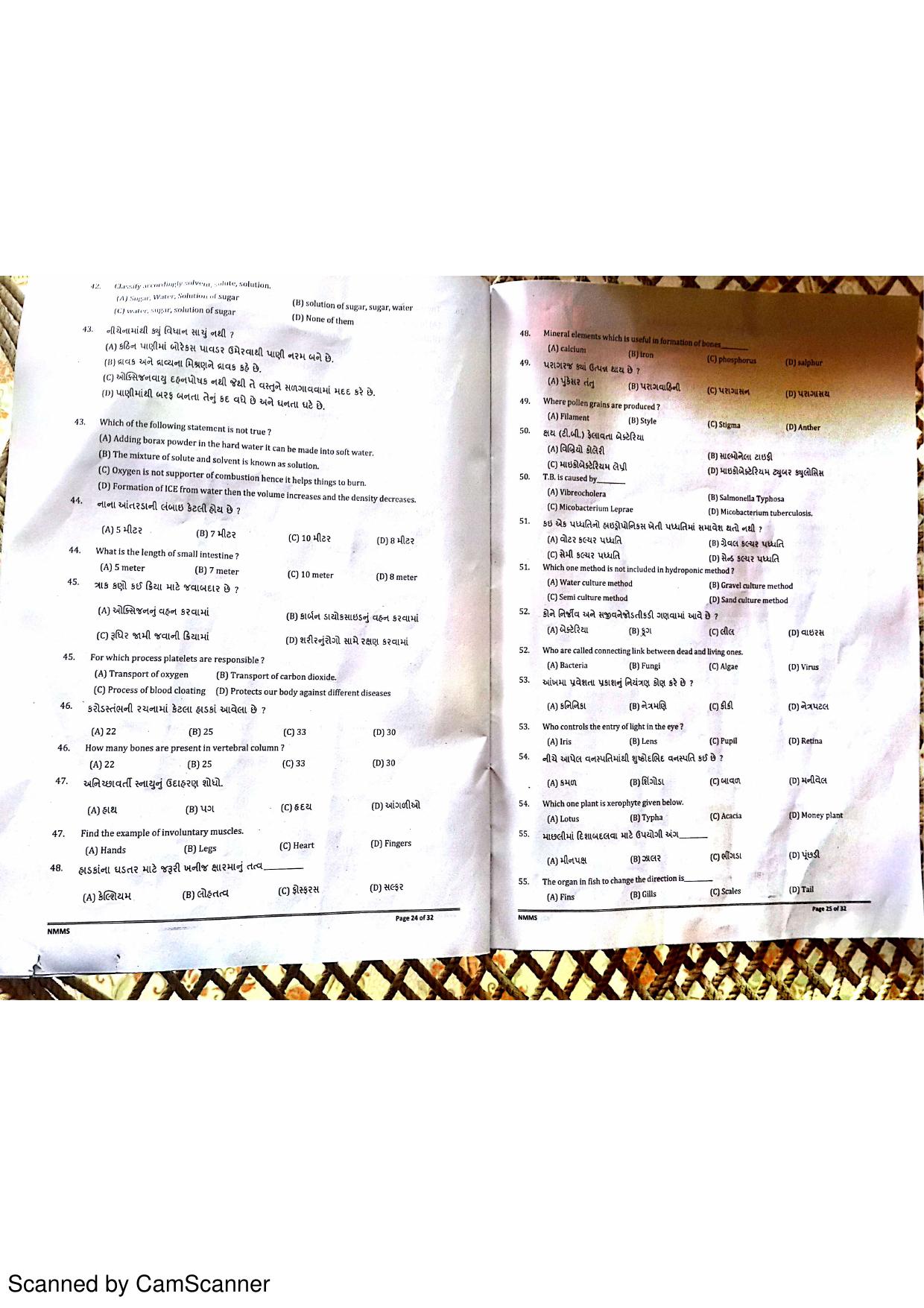 Gujarat NMMS 2016 Question Paper - Page 13