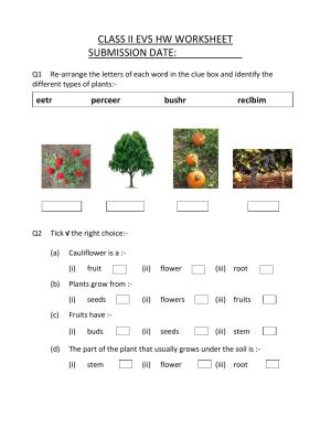 Worksheets for Class 2 EVS Assignment 34 Vegetables