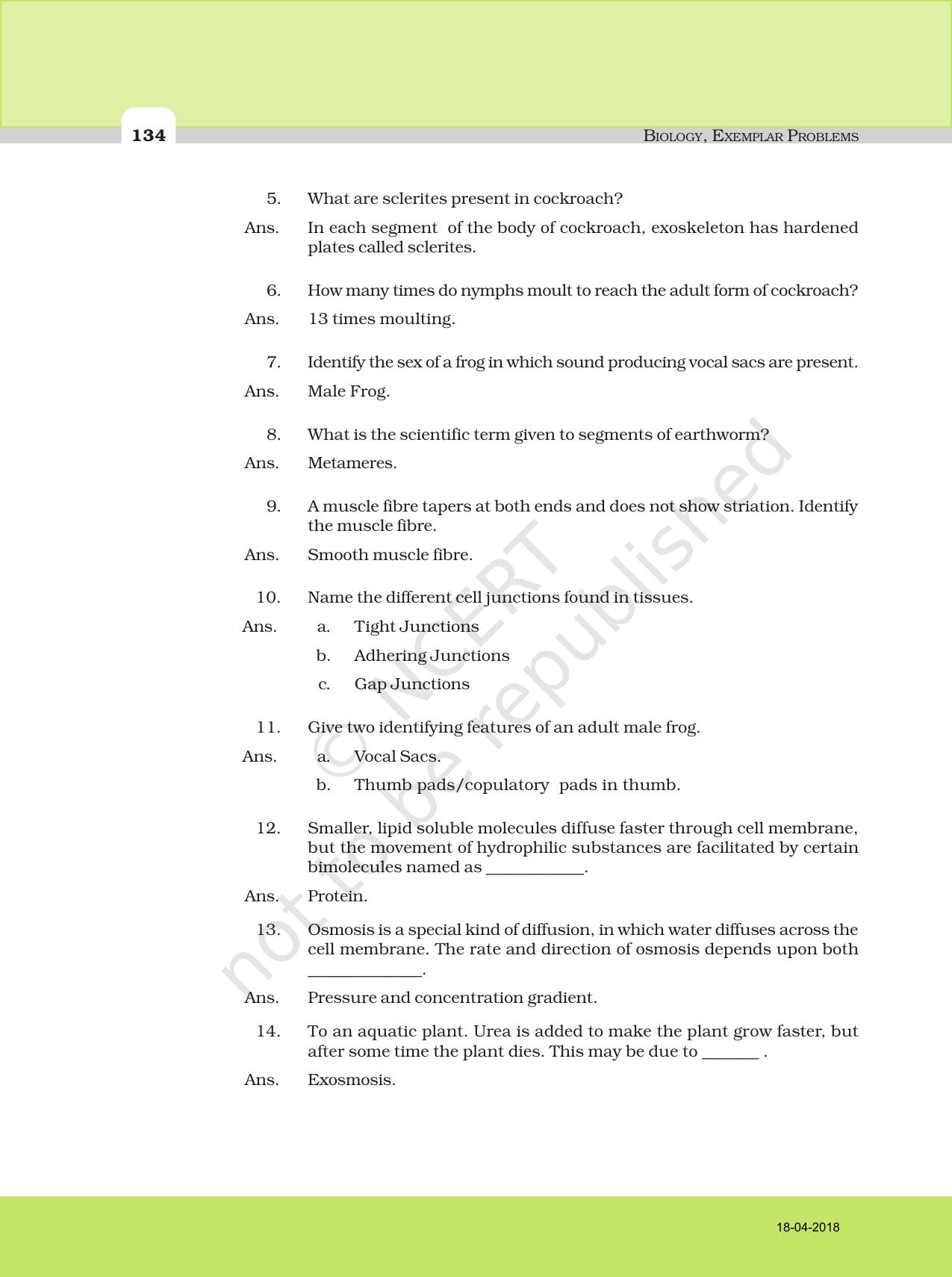 NCERT Exemplar Class 11: Biology Descriptive Question Answers - Page 2