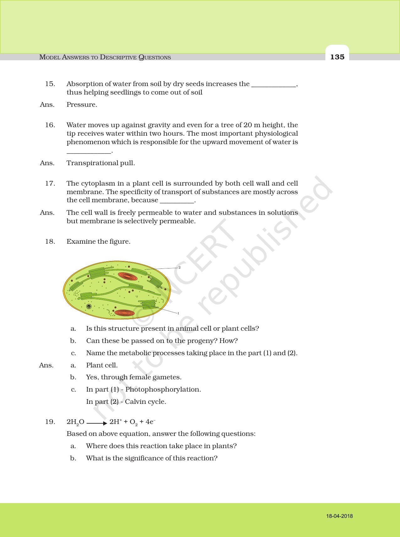 NCERT Exemplar Class 11: Biology Descriptive Question Answers - Page 3
