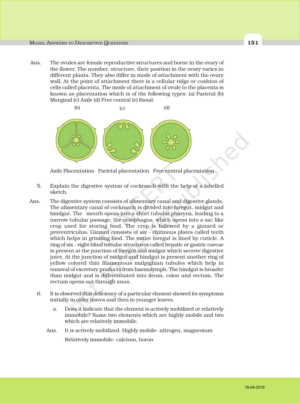NCERT Exemplar Class 11: Biology Descriptive Question Answers - Page 19
