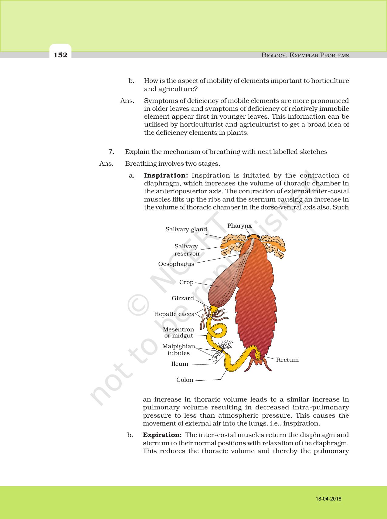 NCERT Exemplar Class 11: Biology Descriptive Question Answers - Page 20