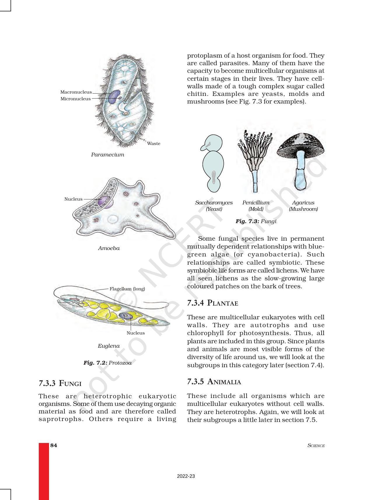 NCERT Book for Class 9 Science Chapter 7 Diversity in Living Organisms - Page 5