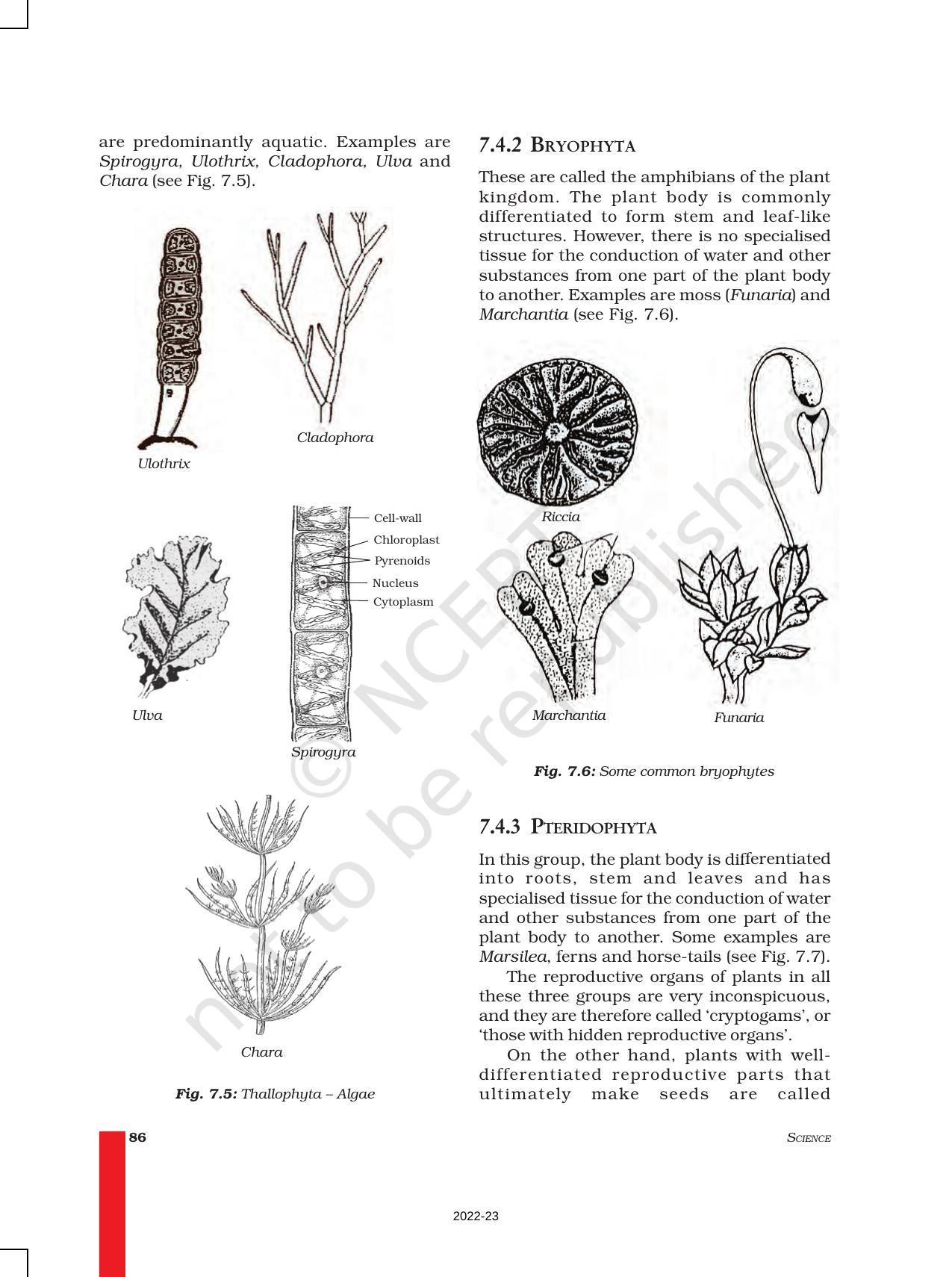 NCERT Book for Class 9 Science Chapter 7 Diversity in Living Organisms - Page 7