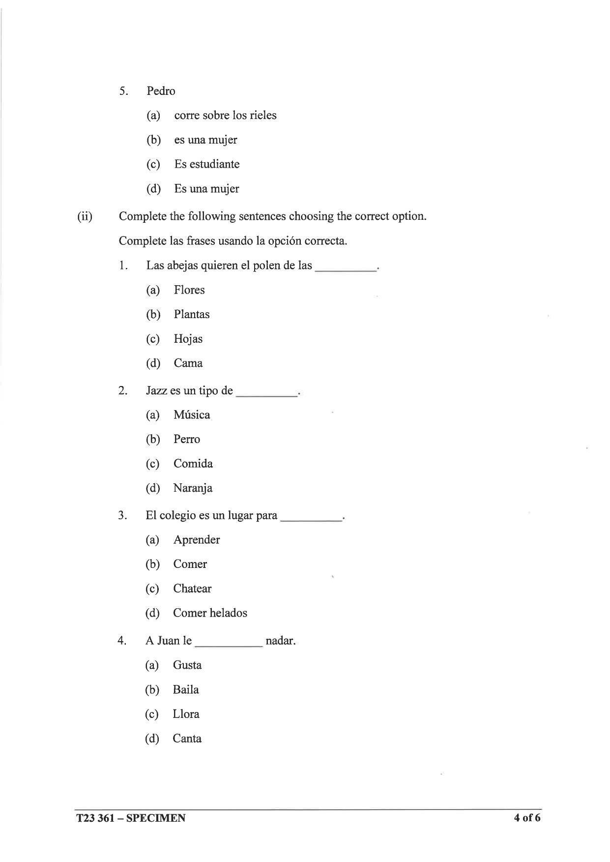 ICSE Class 10 Spanish Sample Paper 2023 - Page 4