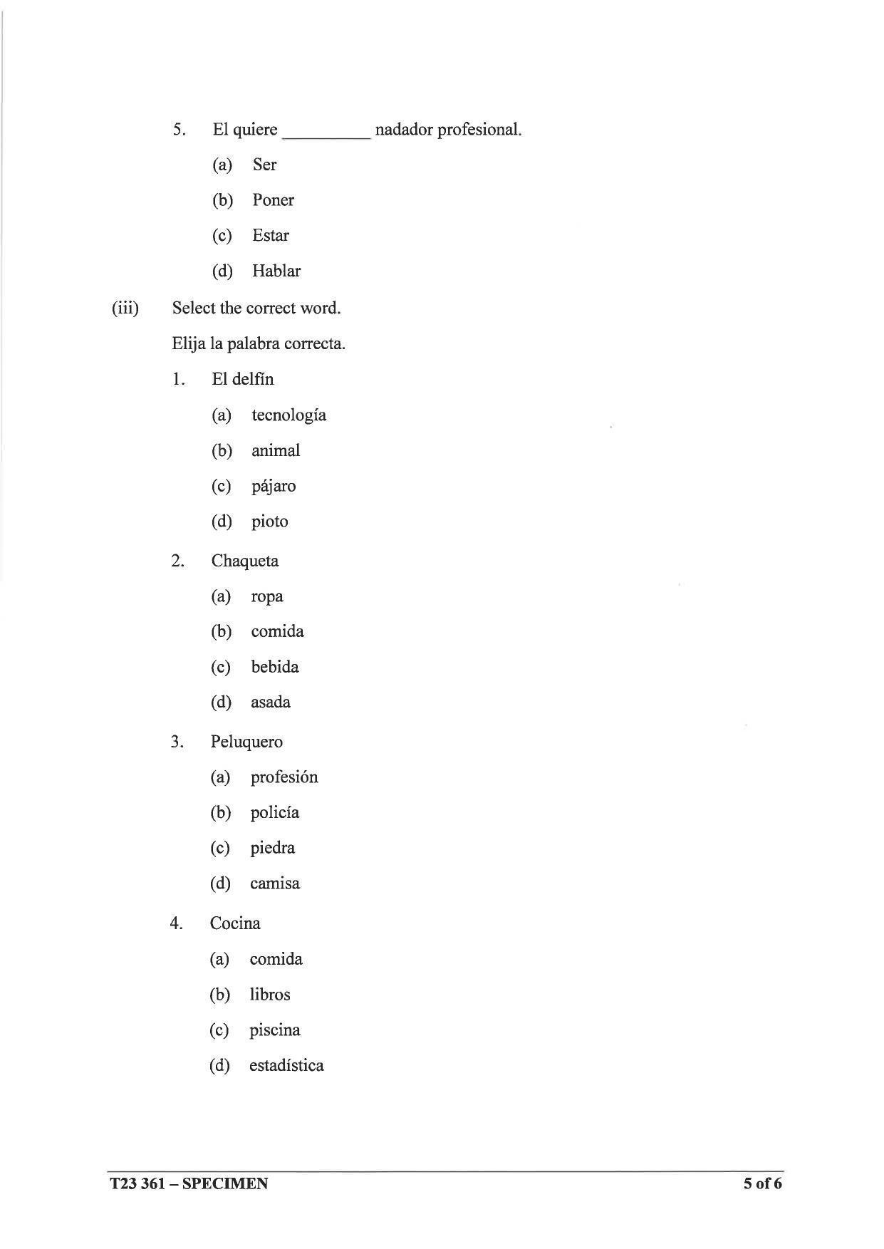 ICSE Class 10 Spanish Sample Paper 2023 - Page 5