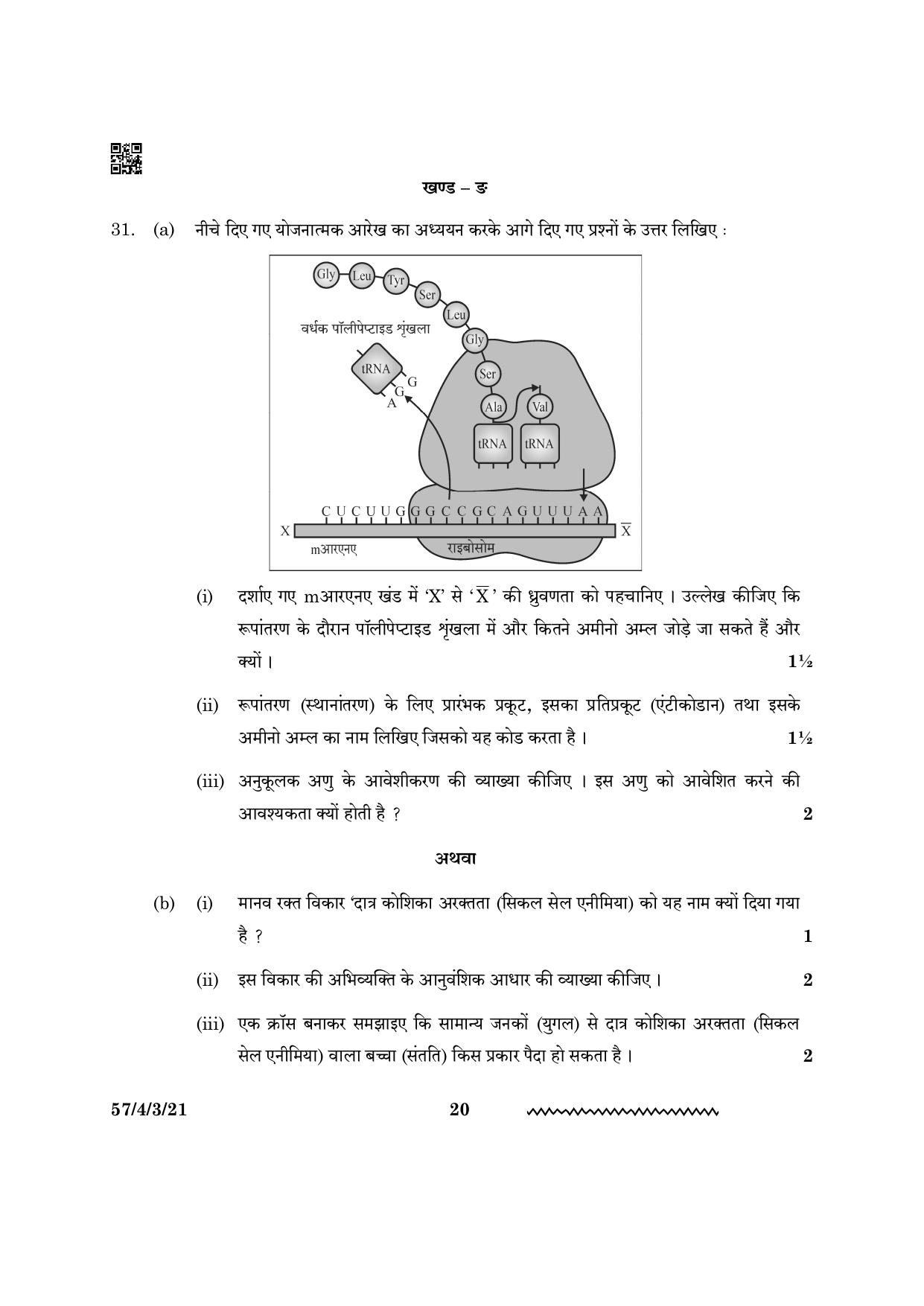 CBSE Class 12 57 4 3 Biology 2024 Question Paper - Page 20