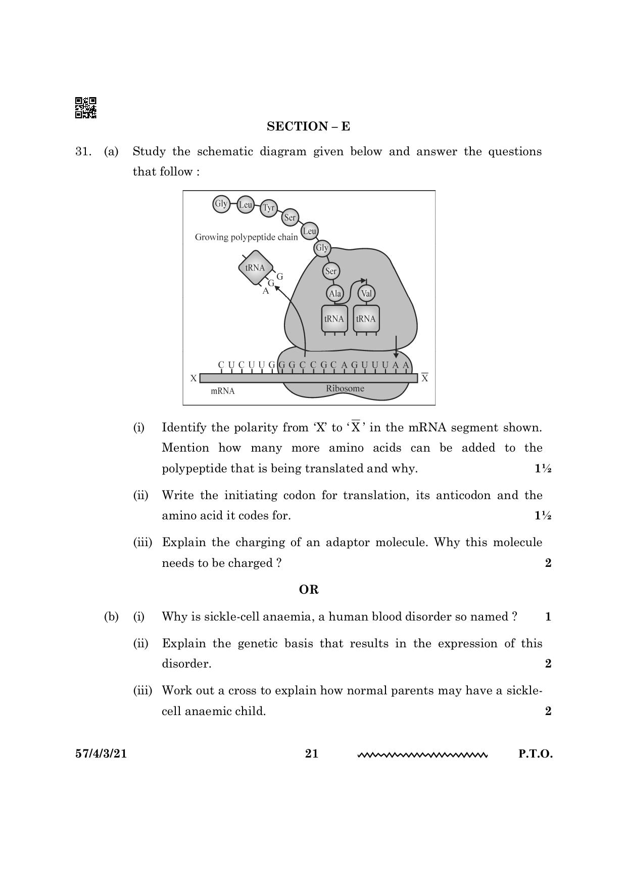 CBSE Class 12 57 4 3 Biology 2024 Question Paper - Page 21