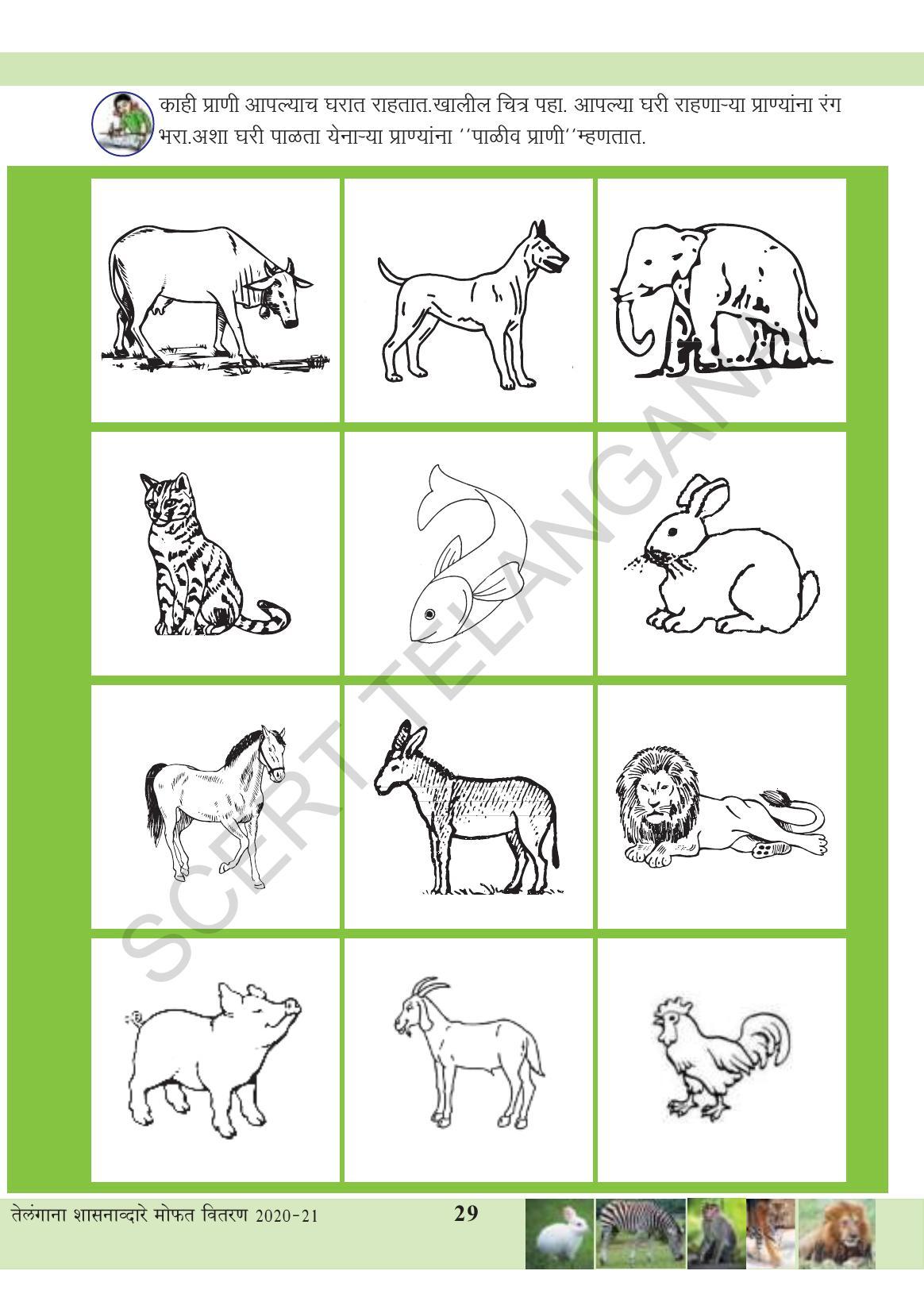 TS SCERT Class 3 Environmental Science (Marathi Medium) Text Book - Page 40