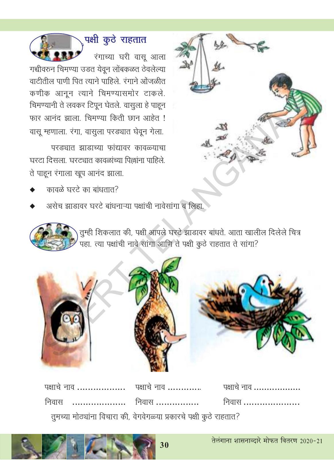 TS SCERT Class 3 Environmental Science (Marathi Medium) Text Book - Page 41