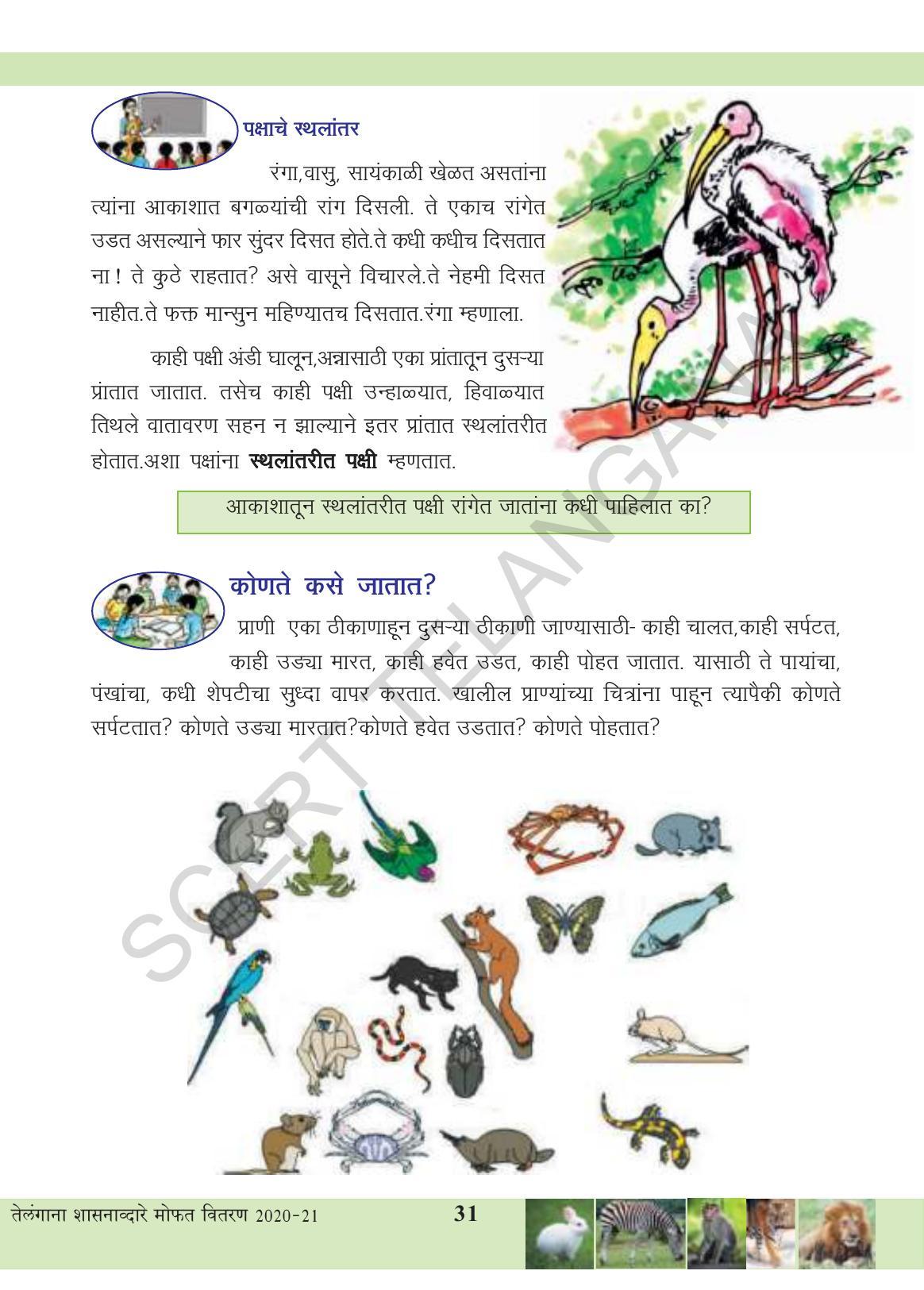 TS SCERT Class 3 Environmental Science (Marathi Medium) Text Book - Page 42