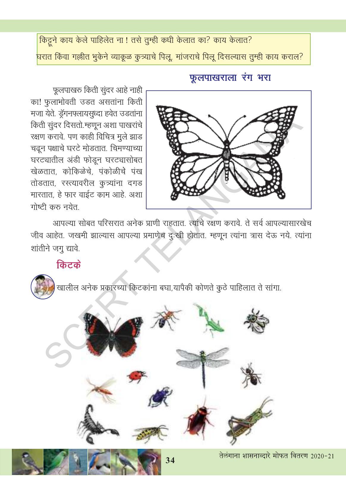 TS SCERT Class 3 Environmental Science (Marathi Medium) Text Book - Page 45