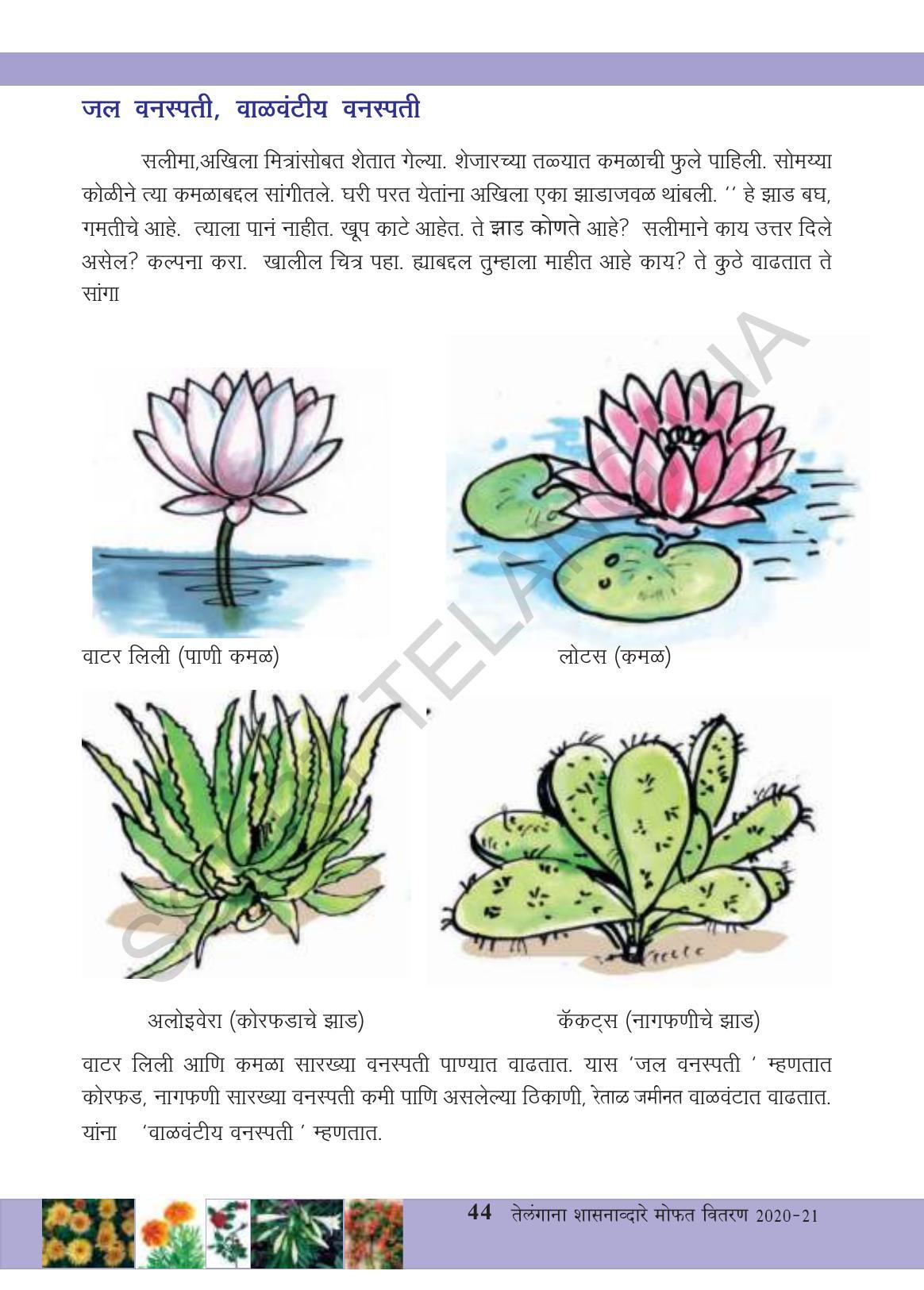 TS SCERT Class 3 Environmental Science (Marathi Medium) Text Book - Page 55
