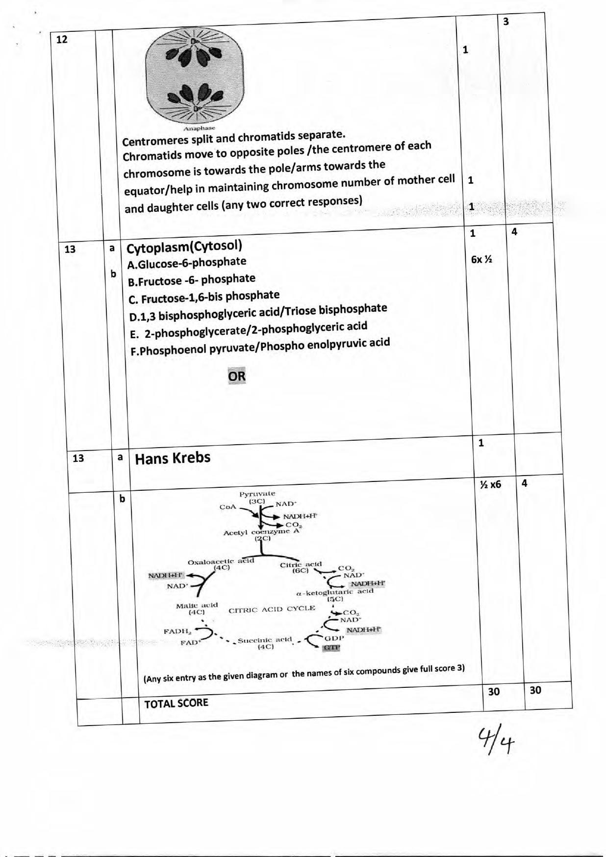 Kerala Plus One 2017 Biology (Botany) Answer Key - Page 4