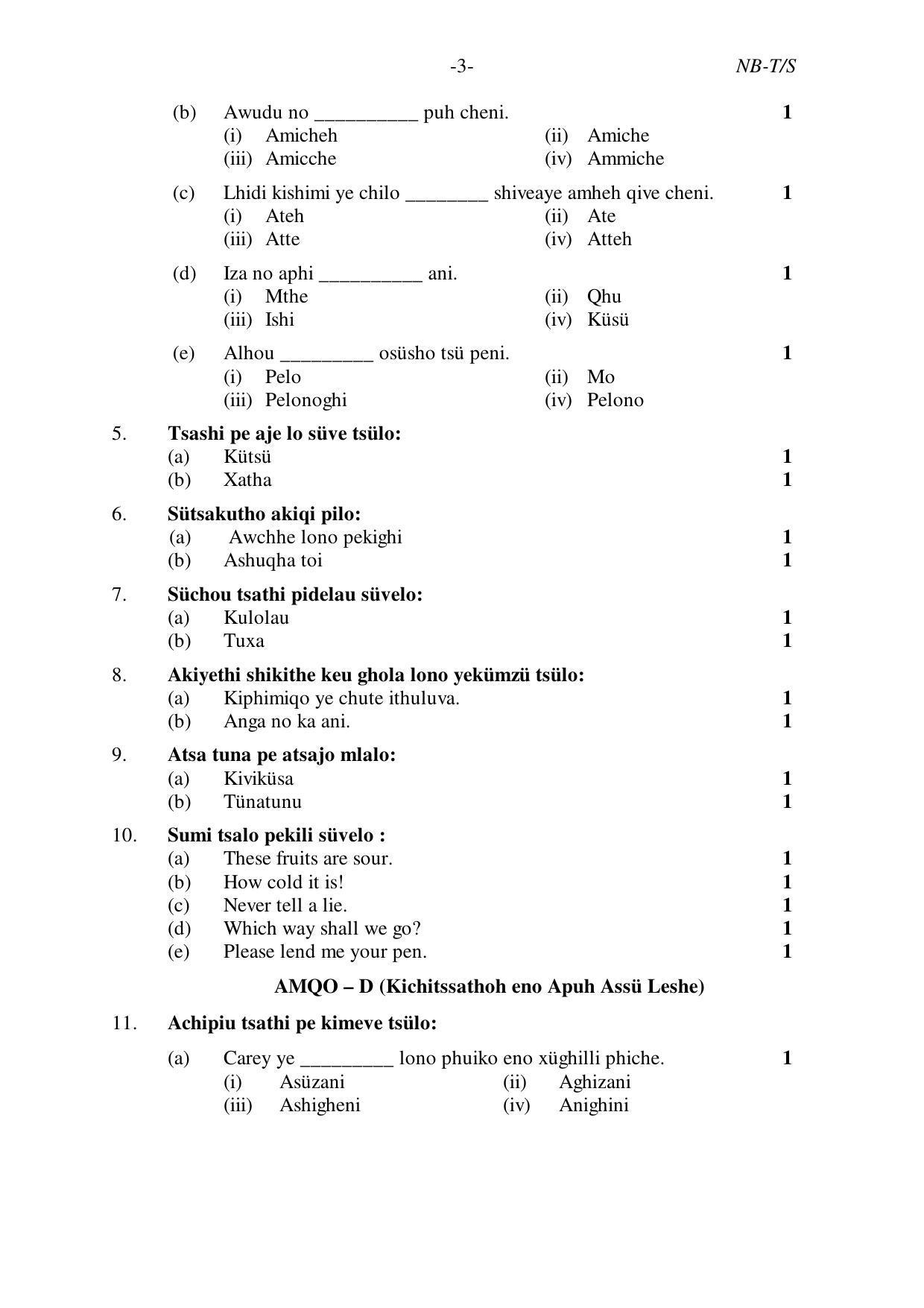 Nagaland Board Class 10 SUMI 2019 Question Paper - Page 3