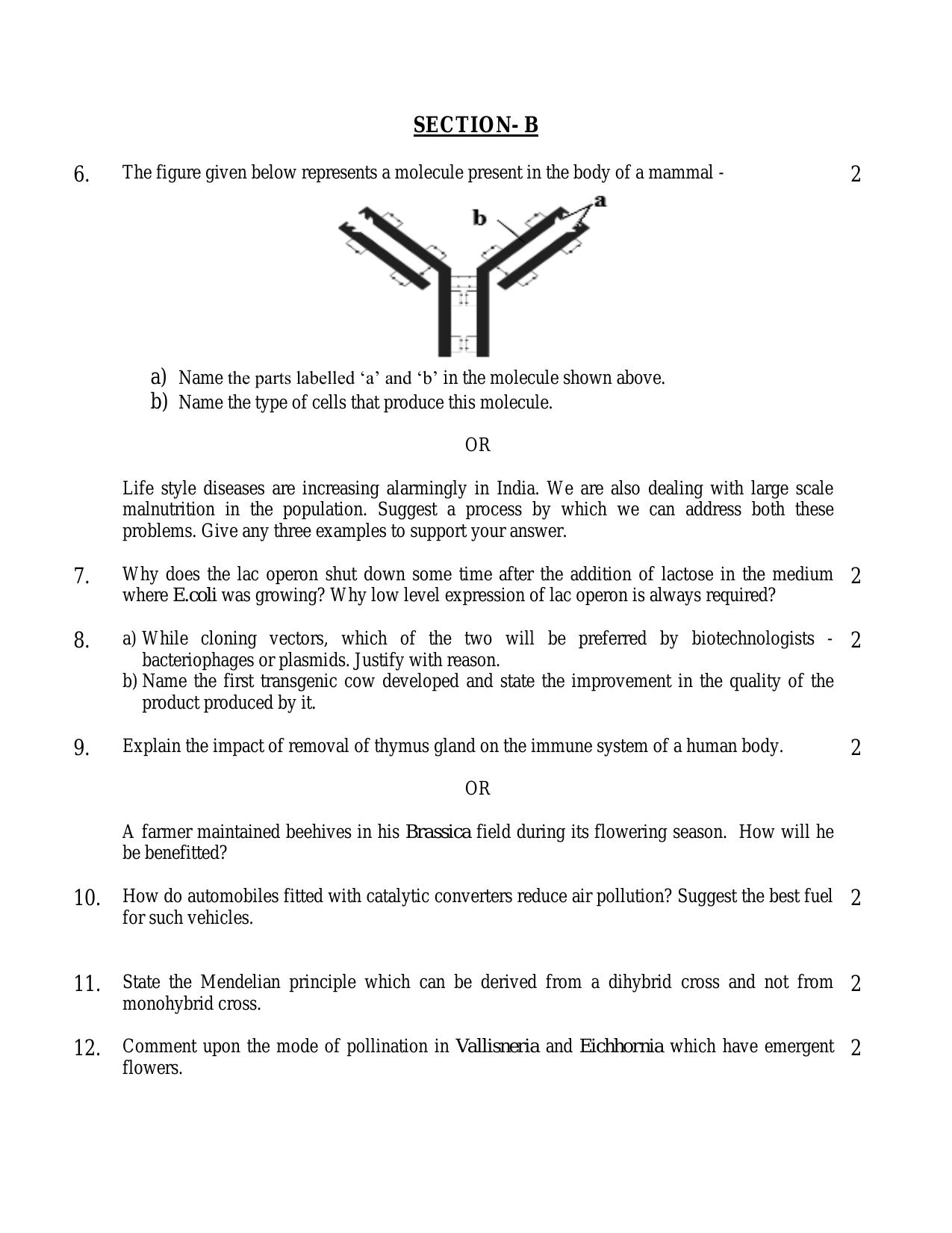 CBSE Class 12 Biology-Sample Paper 2018-19 - Page 2