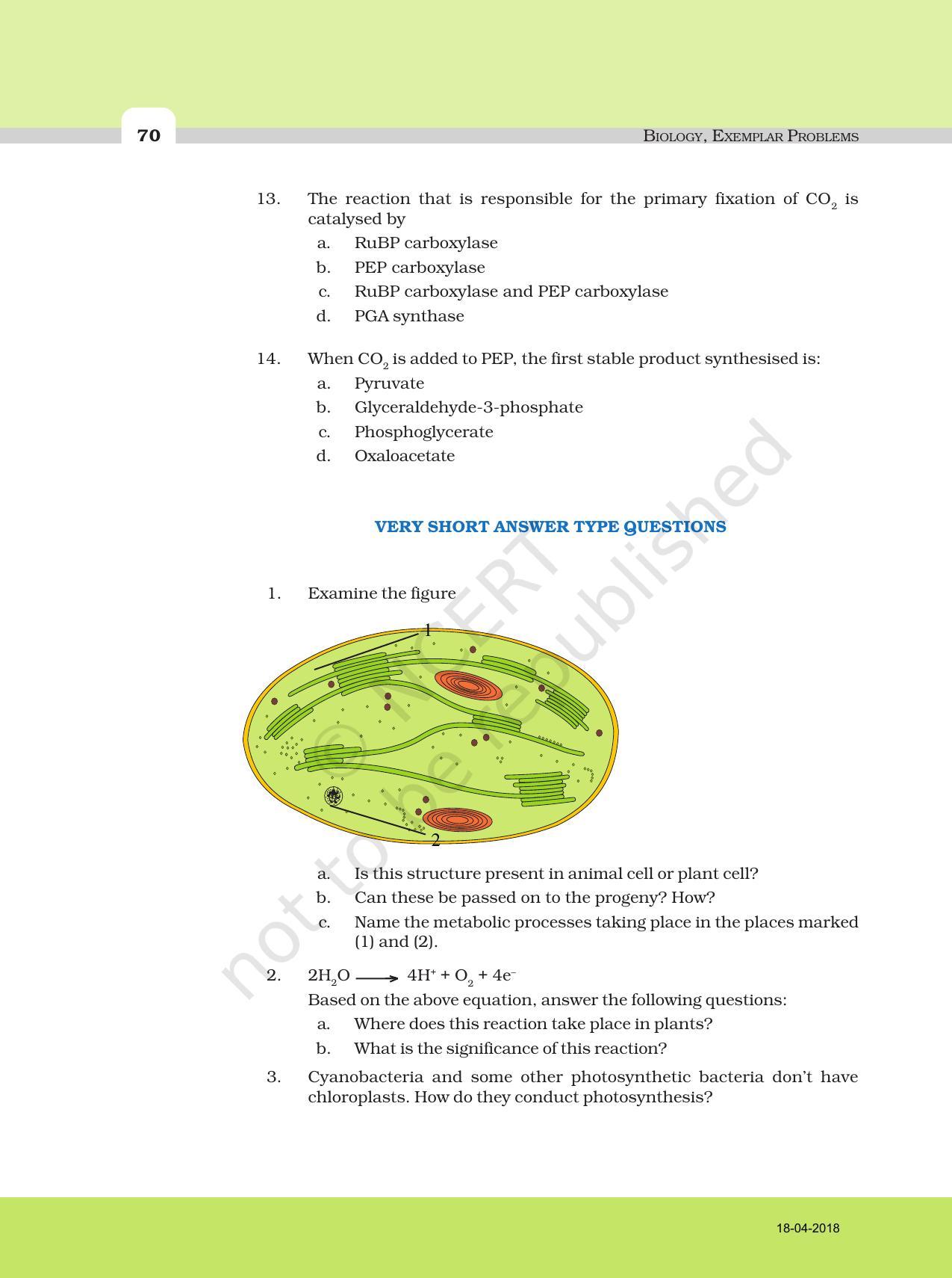 NCERT Exemplar Book for Class 11 Biology: Chapter 13 Photosynthesis in Higher Plants - Page 3