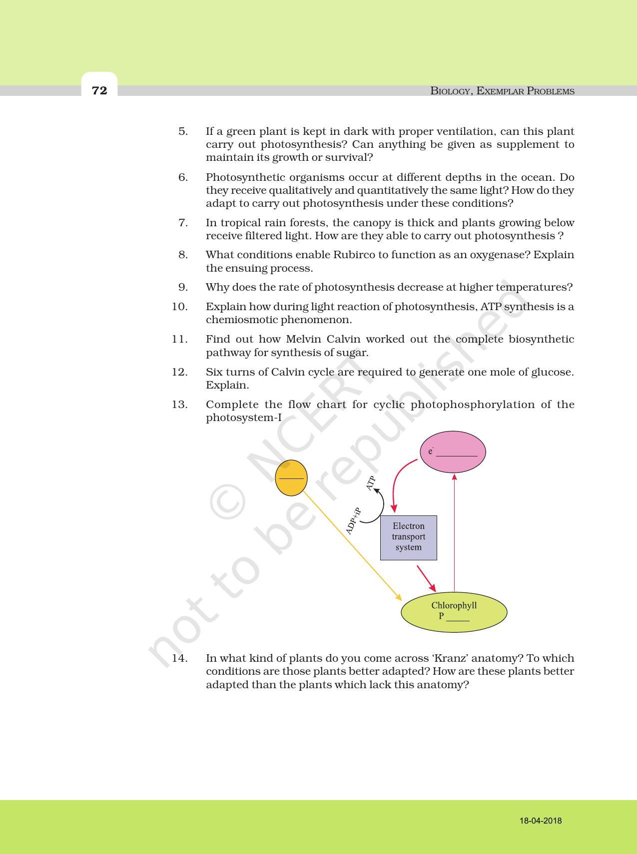 NCERT Exemplar Book for Class 11 Biology: Chapter 13 Photosynthesis in Higher Plants - Page 5