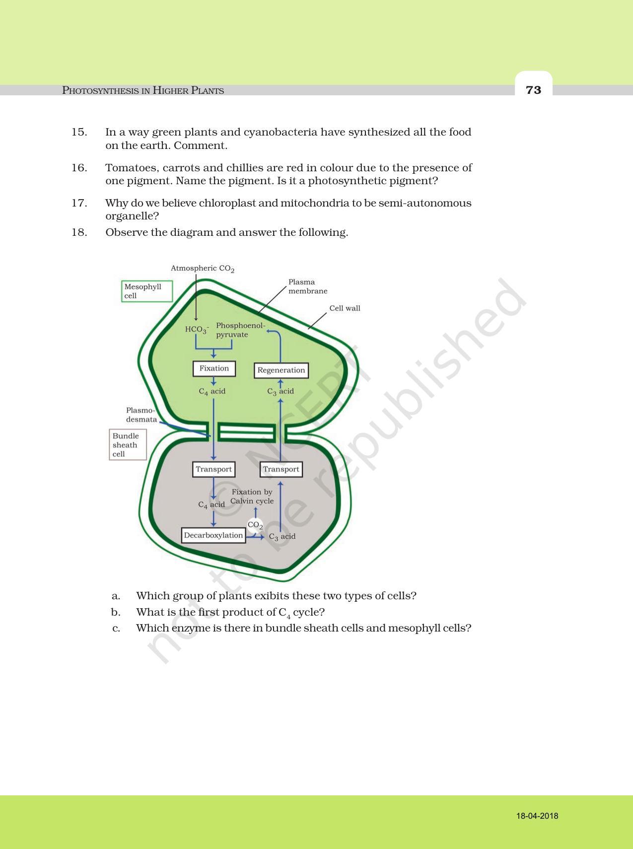 NCERT Exemplar Book for Class 11 Biology: Chapter 13 Photosynthesis in Higher Plants - Page 6