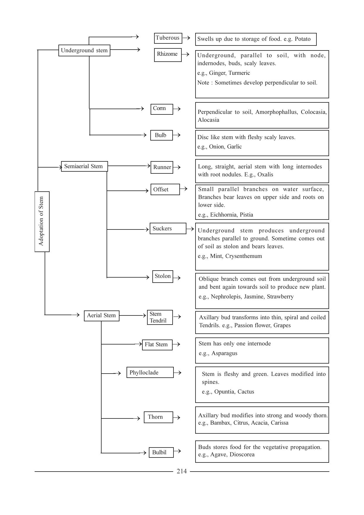 GSEB HSC Biology Question Paper (English Medium)- Chapter 12 - Page 20
