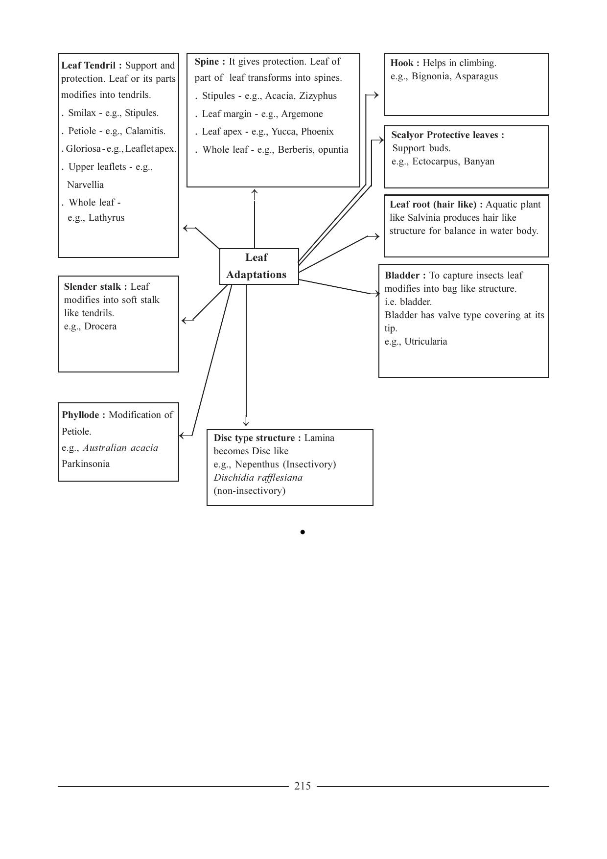GSEB HSC Biology Question Paper (English Medium)- Chapter 12 - Page 21