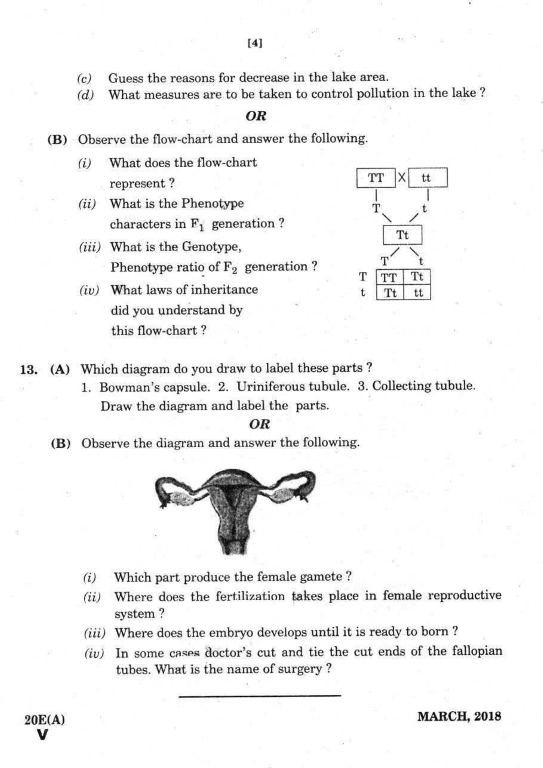 AP Class 10 Science (Paper II) 2018 Question Paper - Page 4