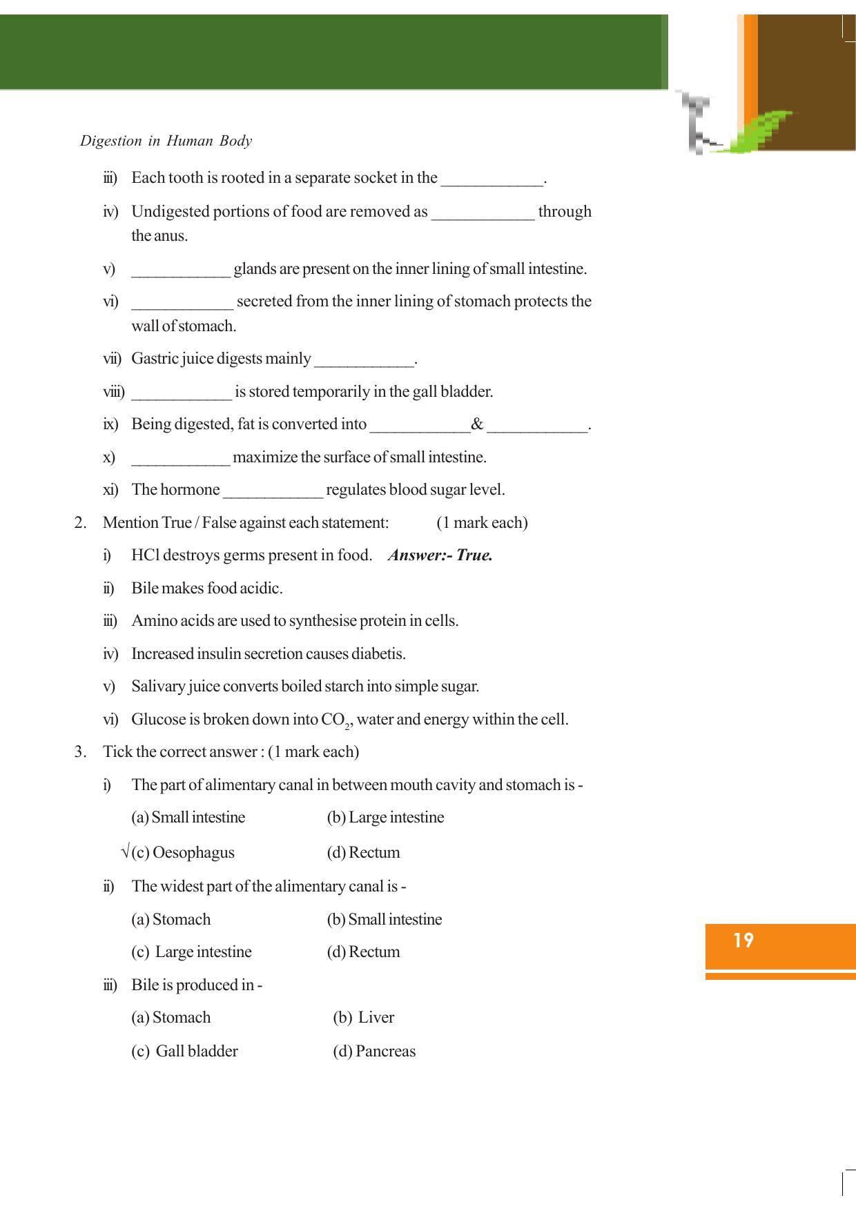 Tripura Board Class 7 Science English Version Workbooks - Page 19