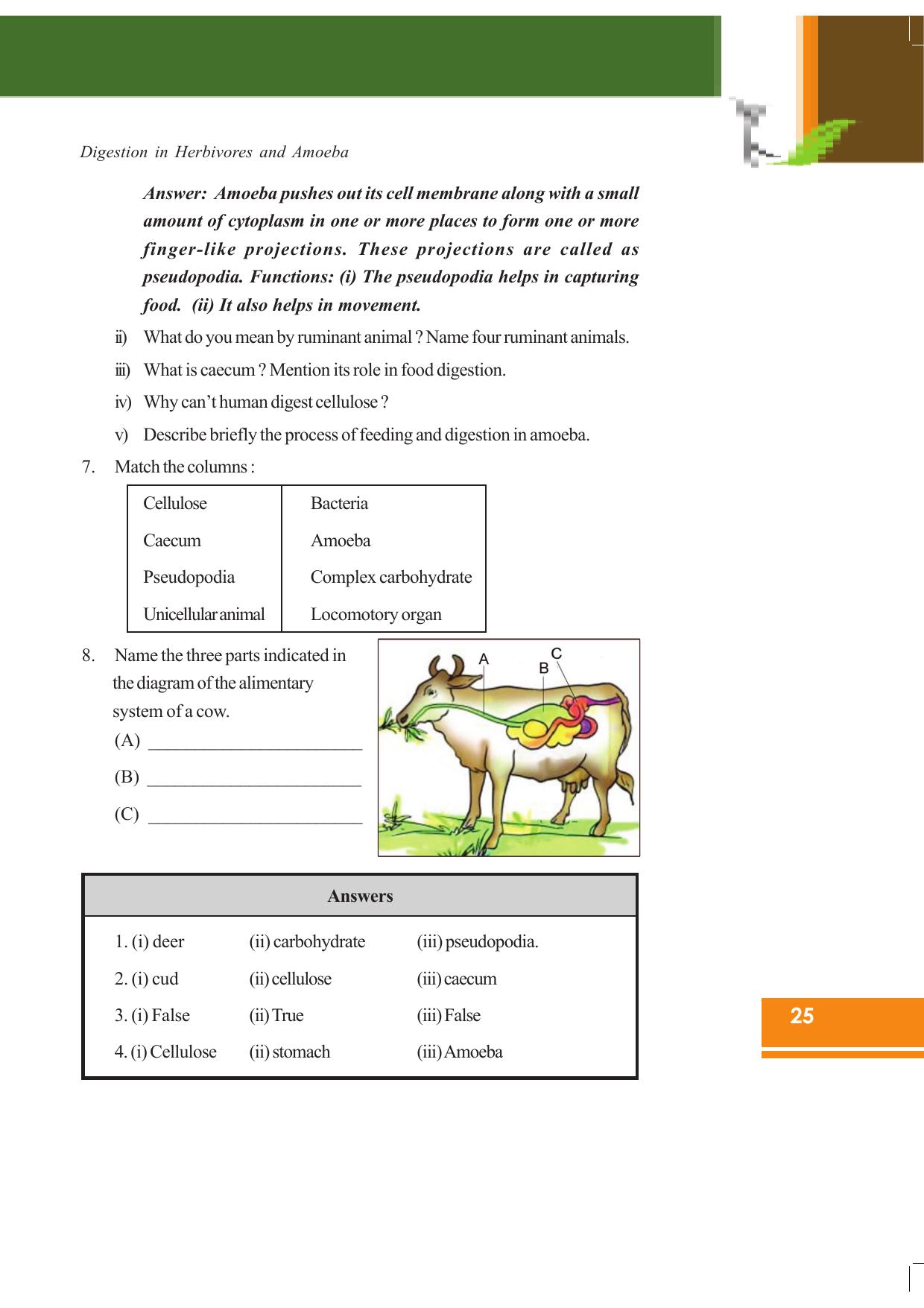 Tripura Board Class 7 Science English Version Workbooks - Page 25