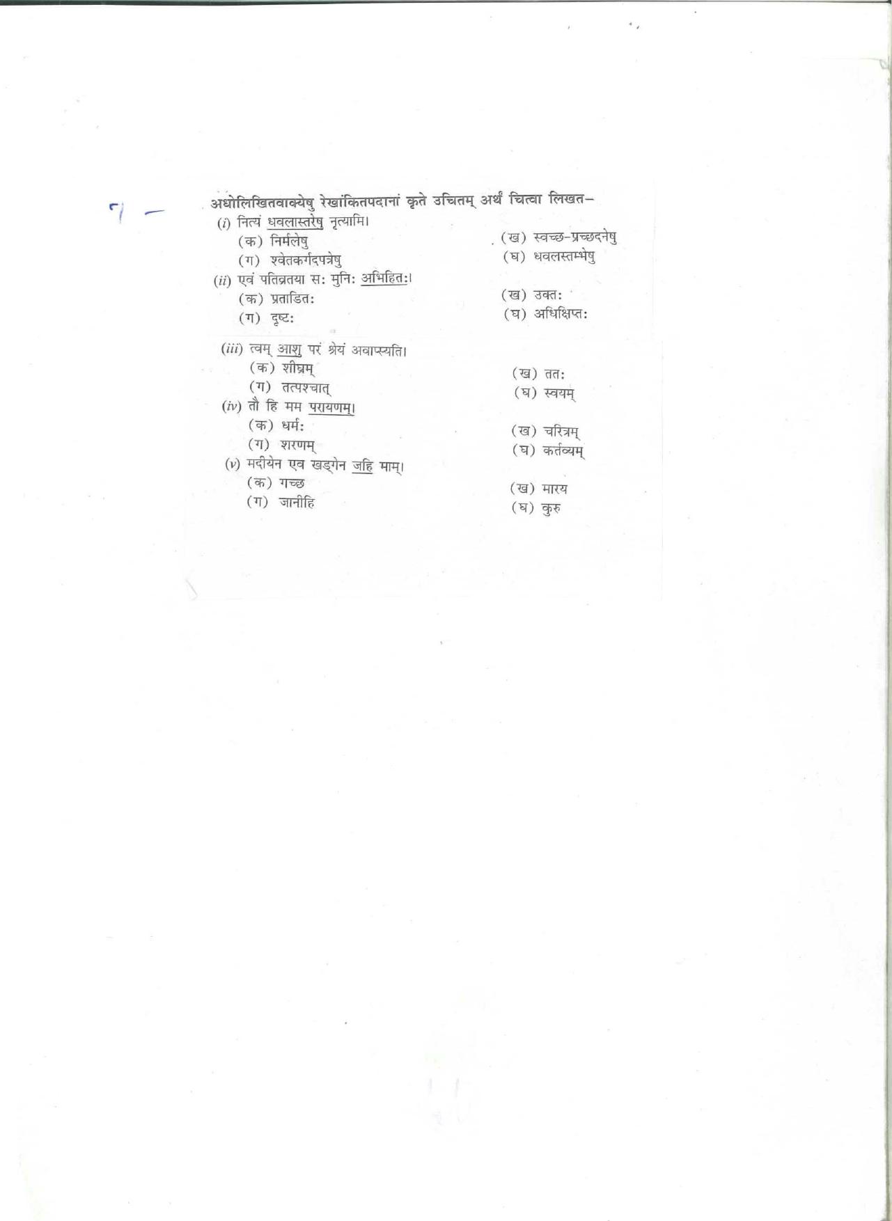 CBSE Worksheets for Class 10 Sanskrit Assignment 1 - Page 3
