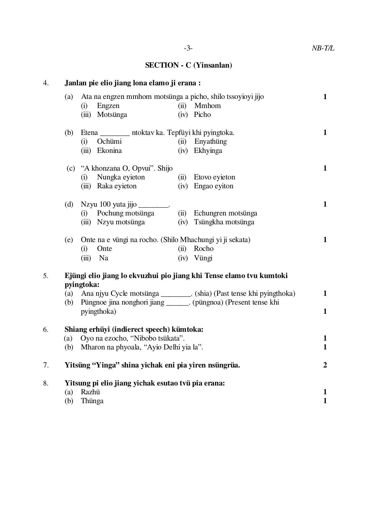 Nagaland Board Class 10 LOTHA 2019 Question Paper - Page 3