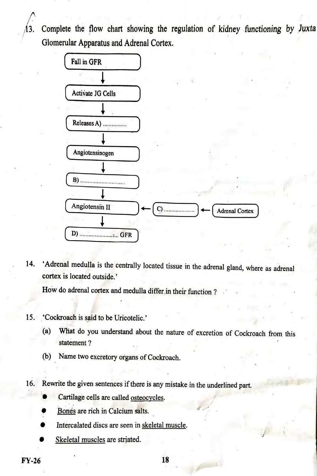 Kerala Plus One 2020 Zoology Question Papers (Annual) - Page 3