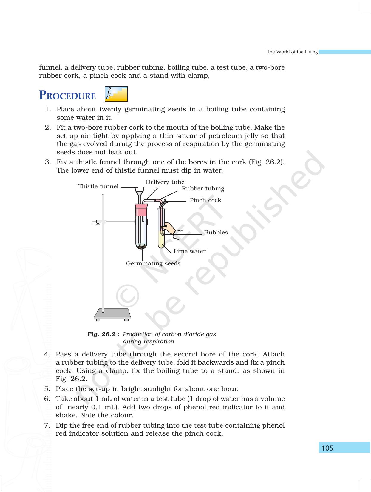 NCERT Laboratory Manuals for Class X Science - The World of Living - Page 13