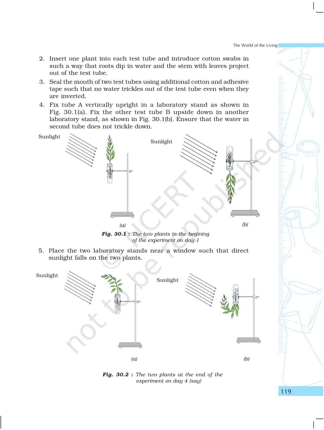 NCERT Laboratory Manuals for Class X Science - The World of Living - Page 27