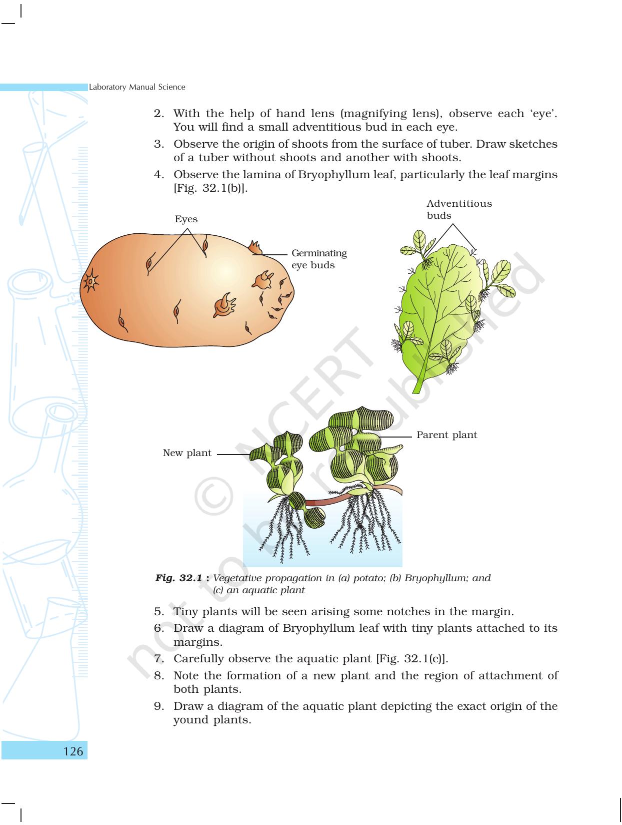 NCERT Laboratory Manuals for Class X Science - The World of Living - Page 34