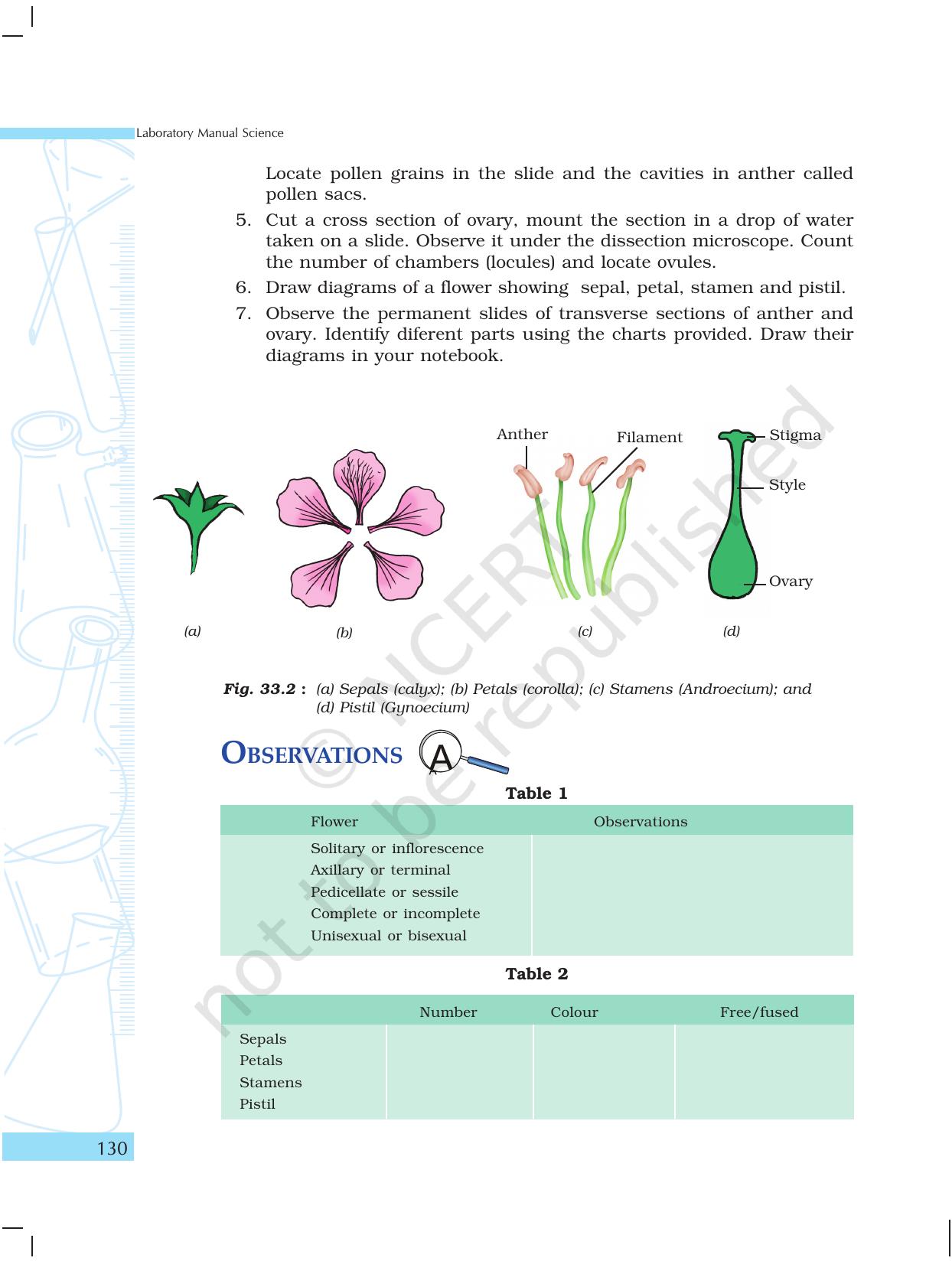 NCERT Laboratory Manuals for Class X Science - The World of Living - Page 38