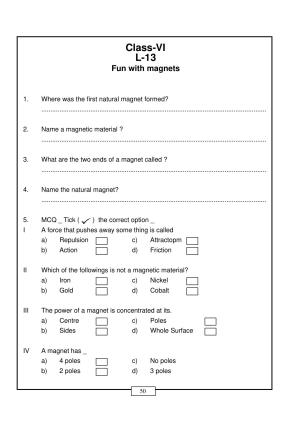 CBSE Worksheets for Class 6 Fun with magnets Assignment