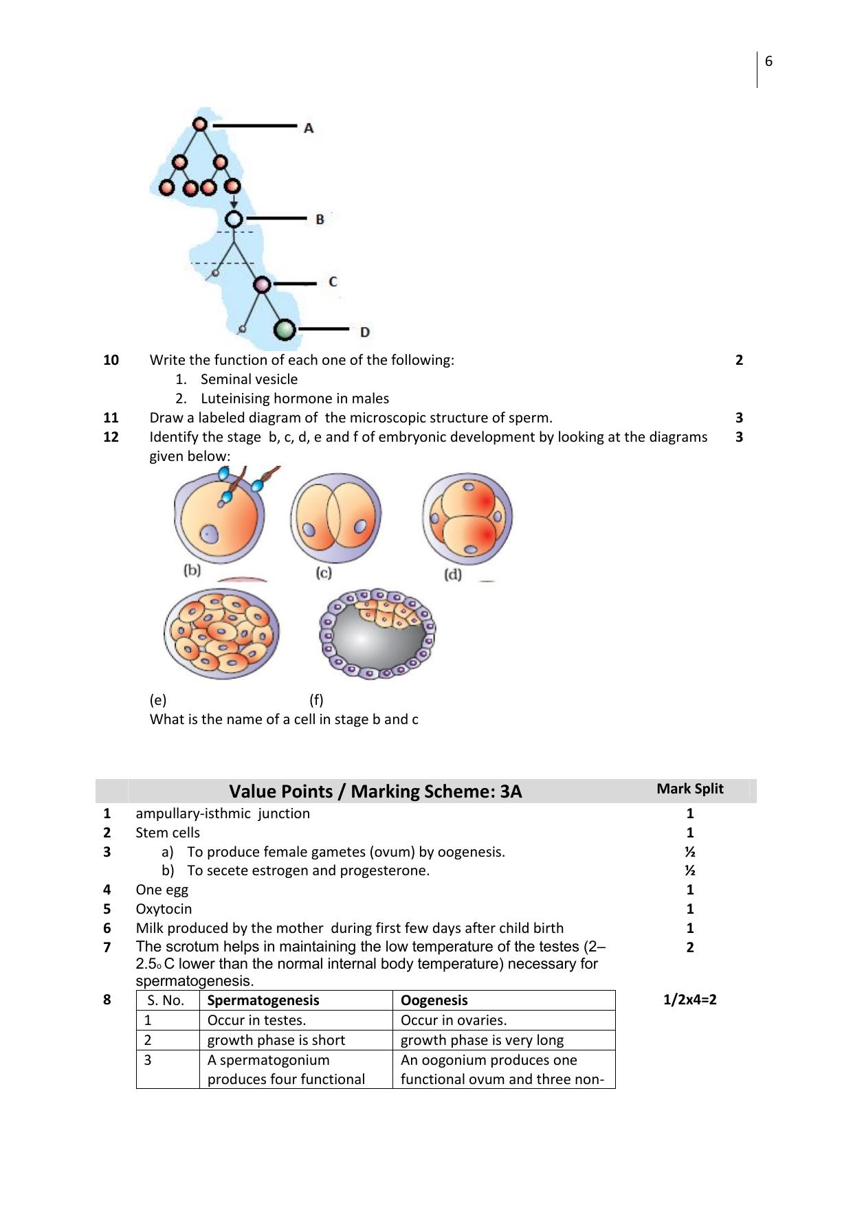 CBSE Worksheets for Class 12 Biology All Chapters - Page 6