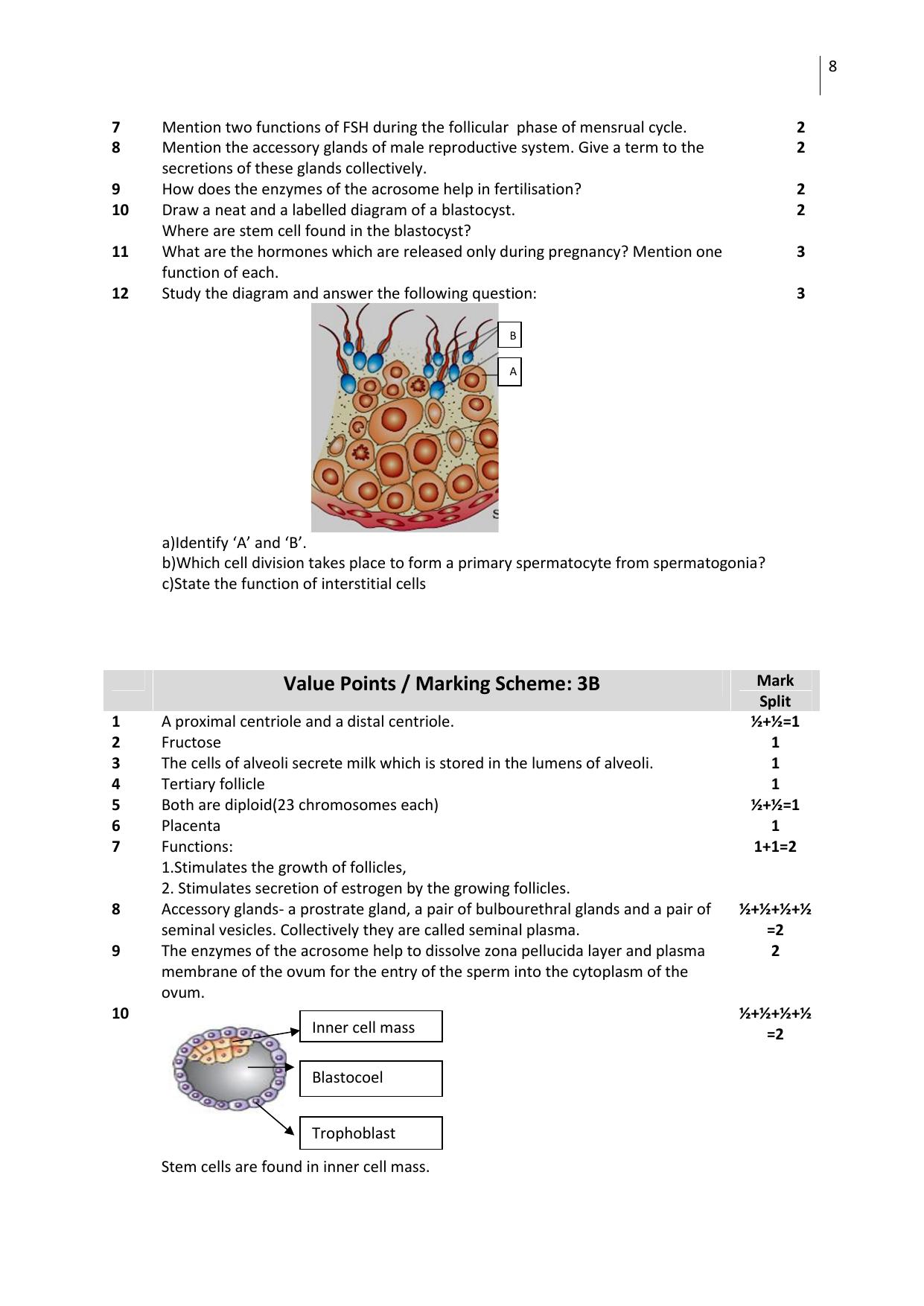 CBSE Worksheets for Class 12 Biology All Chapters - Page 8