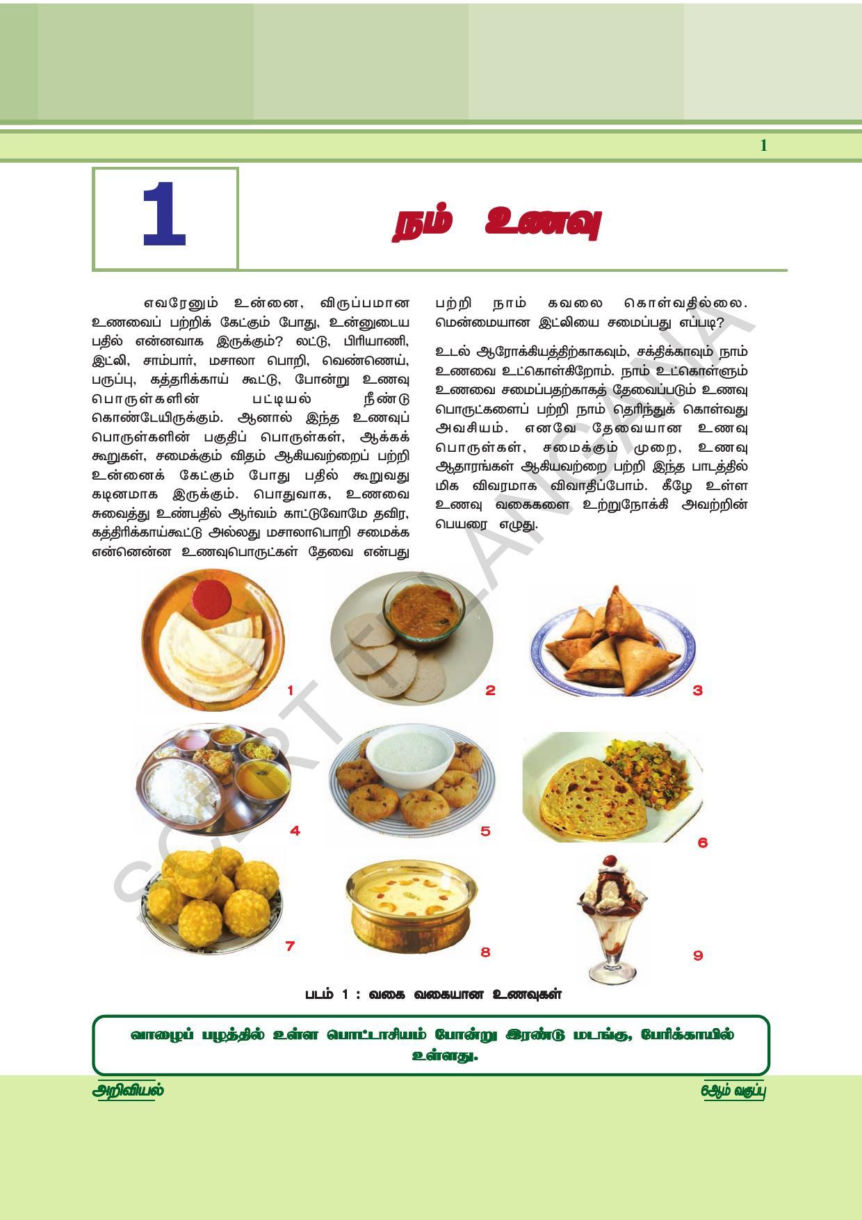 TS SCERT Class 6 General Science  (Tamil Medium) Text Book - Page 15