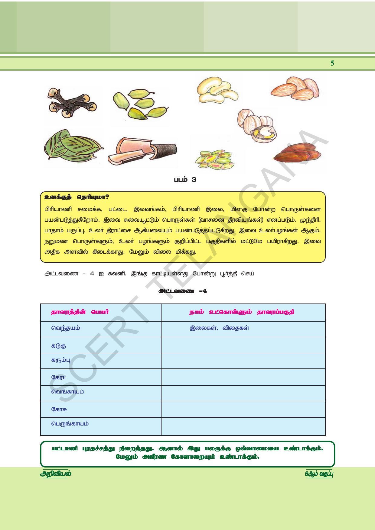 TS SCERT Class 6 General Science  (Tamil Medium) Text Book - Page 19