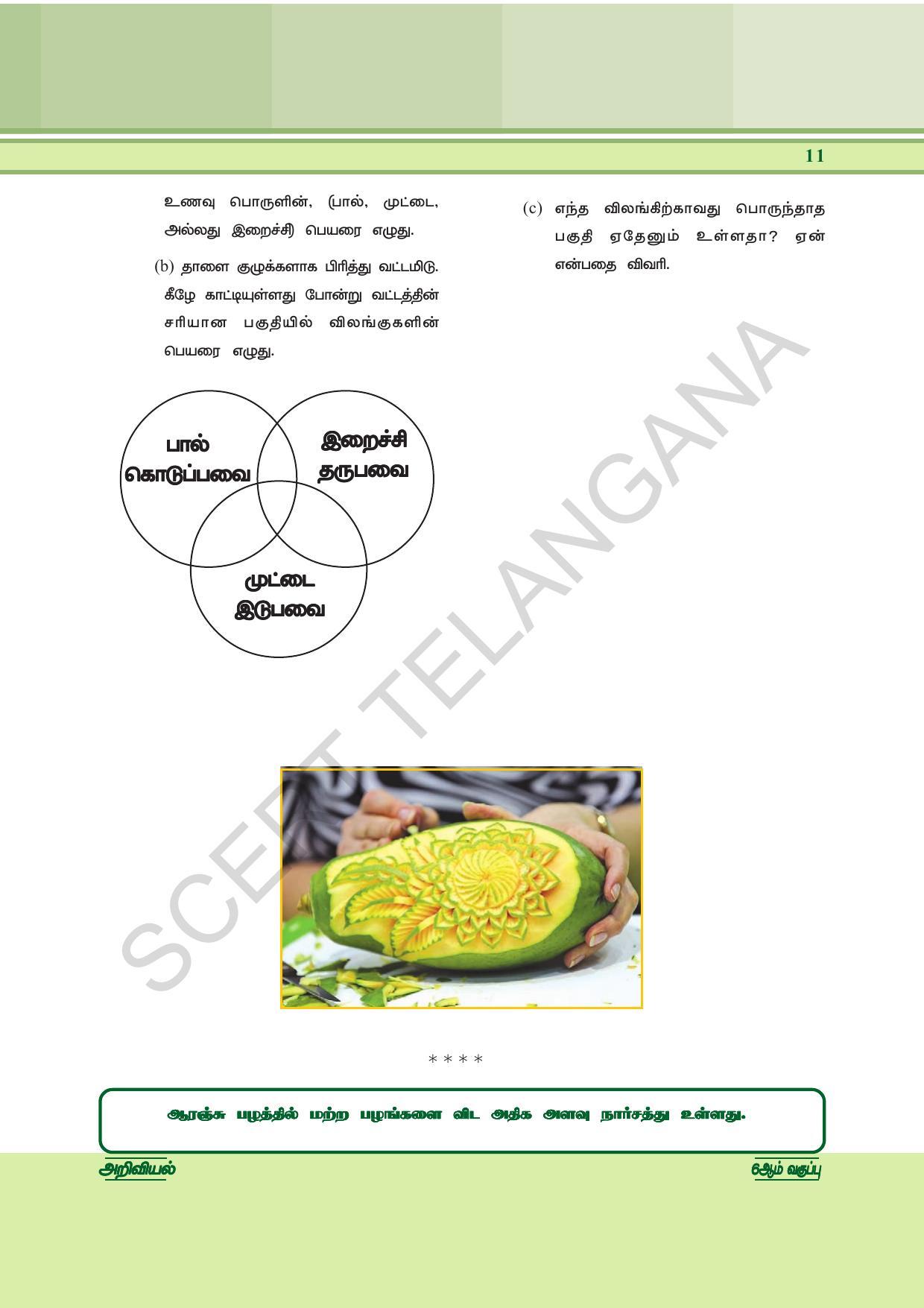 TS SCERT Class 6 General Science  (Tamil Medium) Text Book - Page 25
