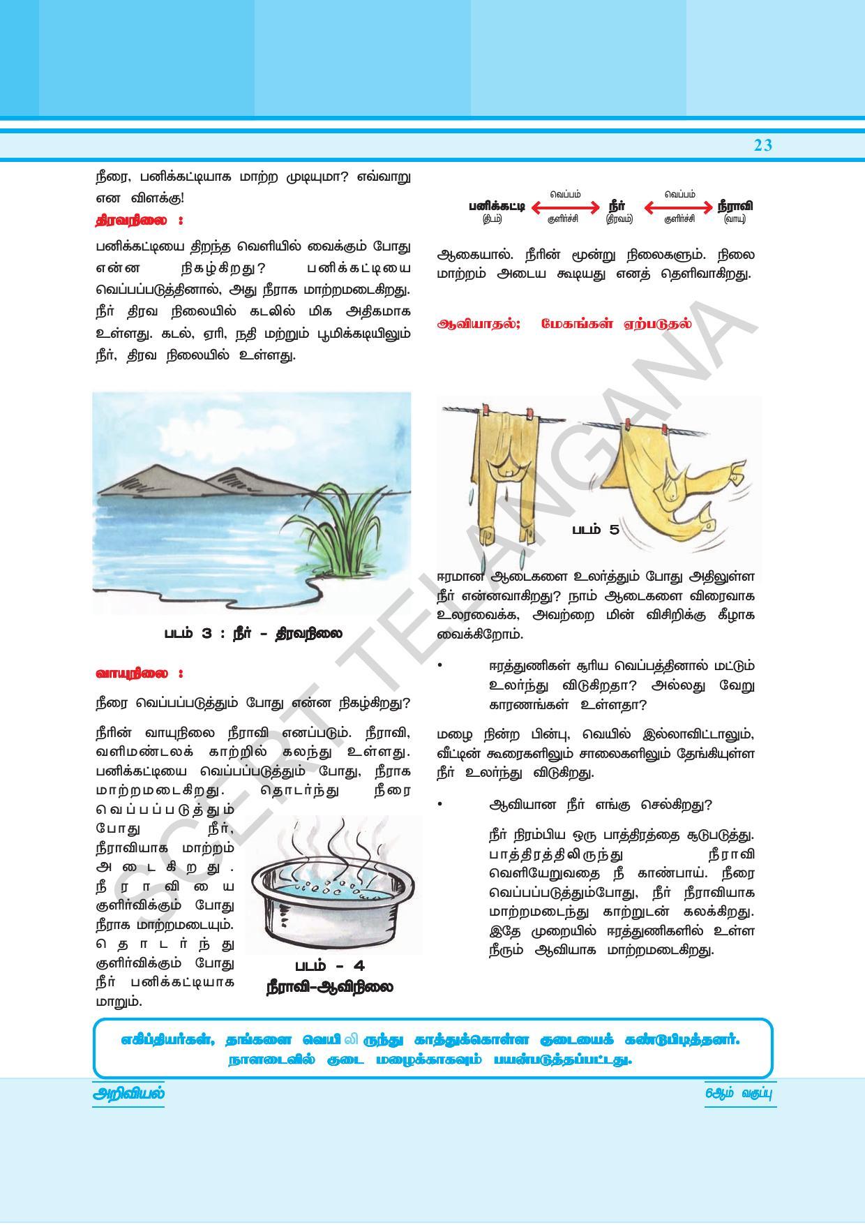 TS SCERT Class 6 General Science  (Tamil Medium) Text Book - Page 37