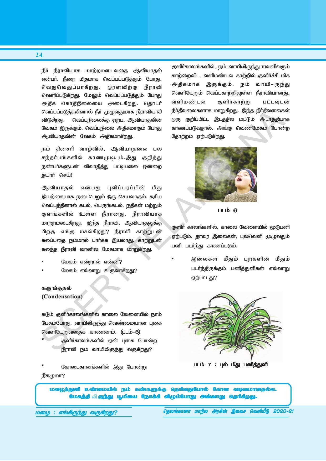 TS SCERT Class 6 General Science  (Tamil Medium) Text Book - Page 38