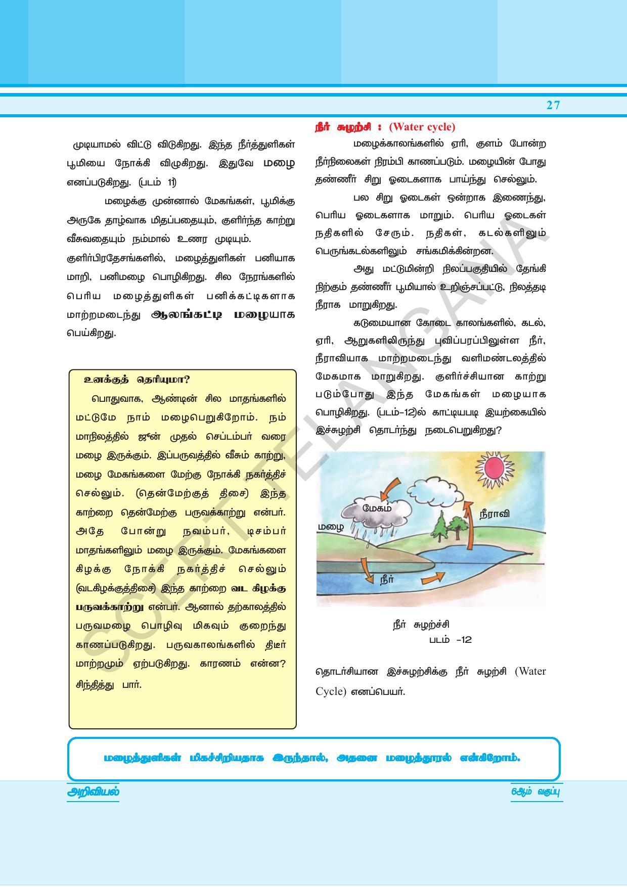 TS SCERT Class 6 General Science  (Tamil Medium) Text Book - Page 41